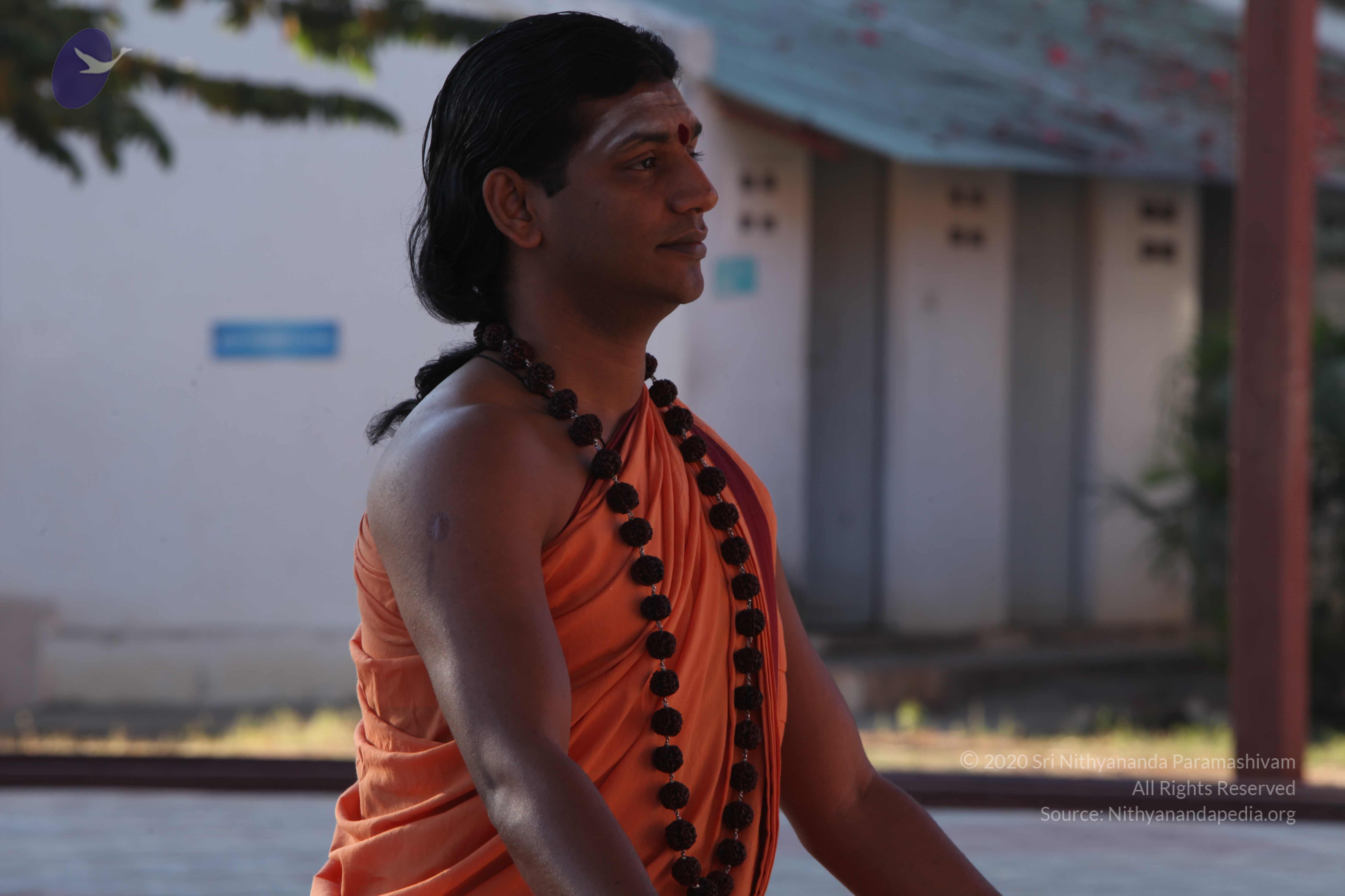 20110305_Photo_1028_IMG_7326_CMP_WM