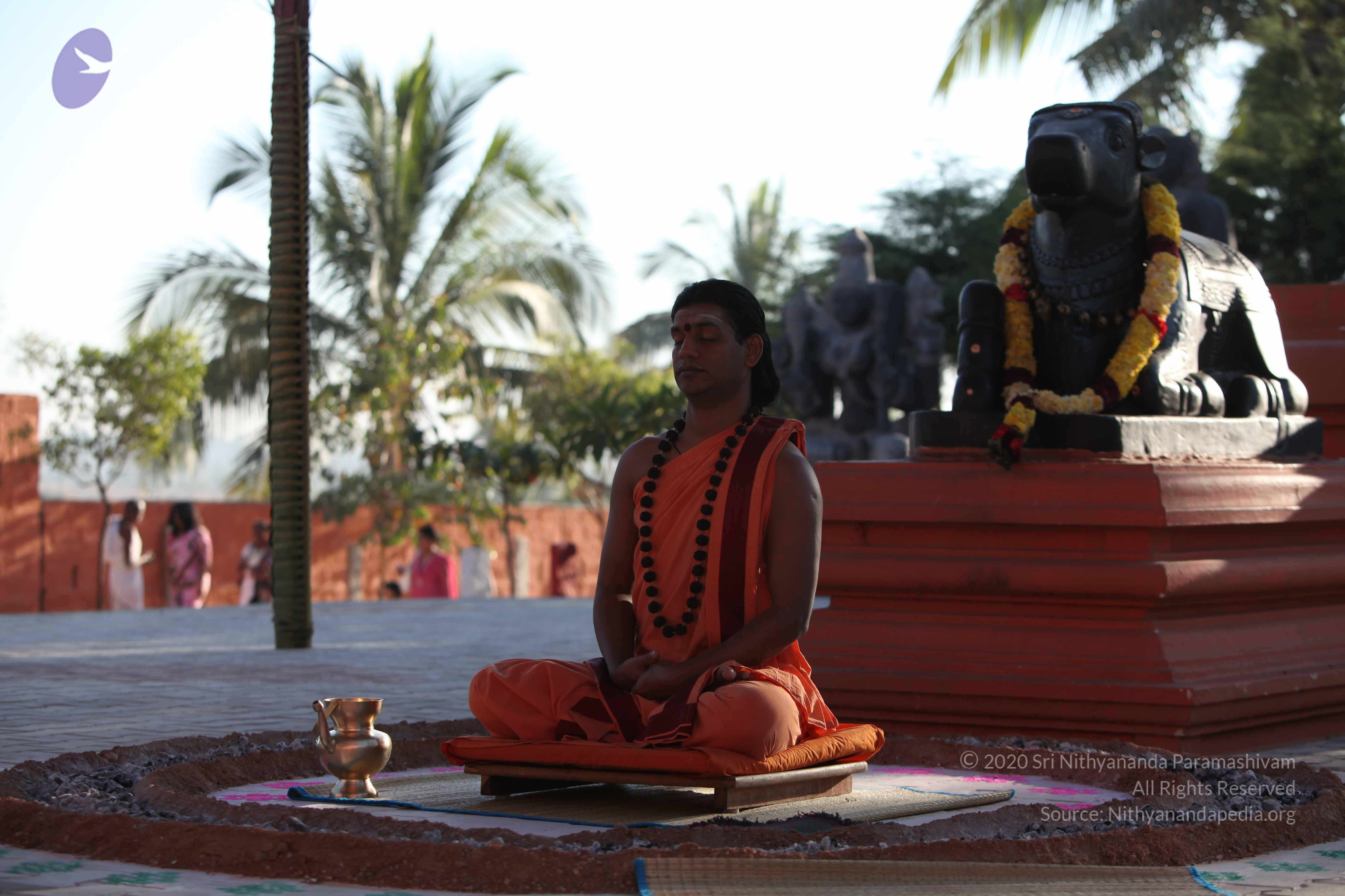 20110305_Photo_1029_IMG_7298_CMP_WM