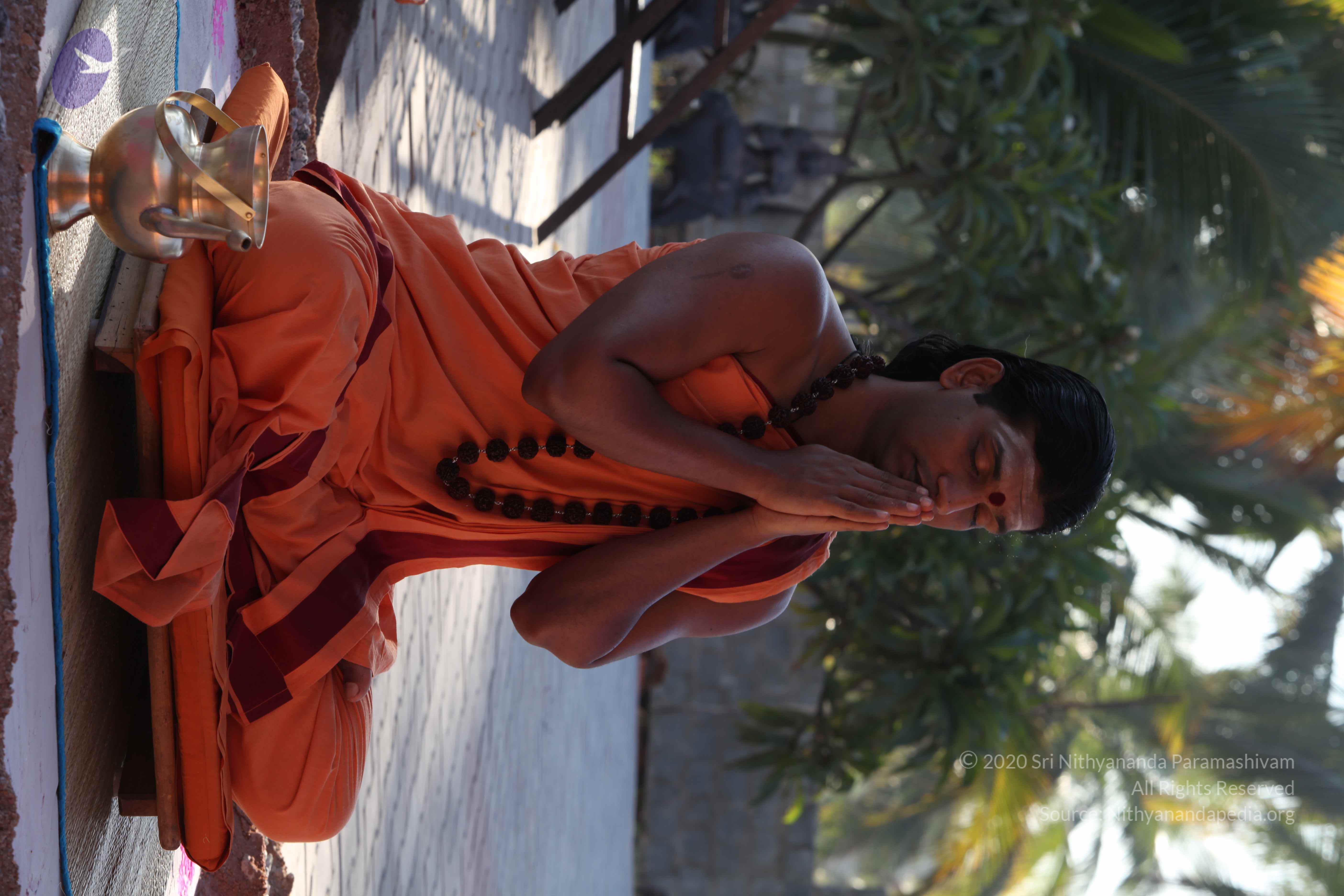 20110305_Photo_1031_IMG_7355_CMP_WM