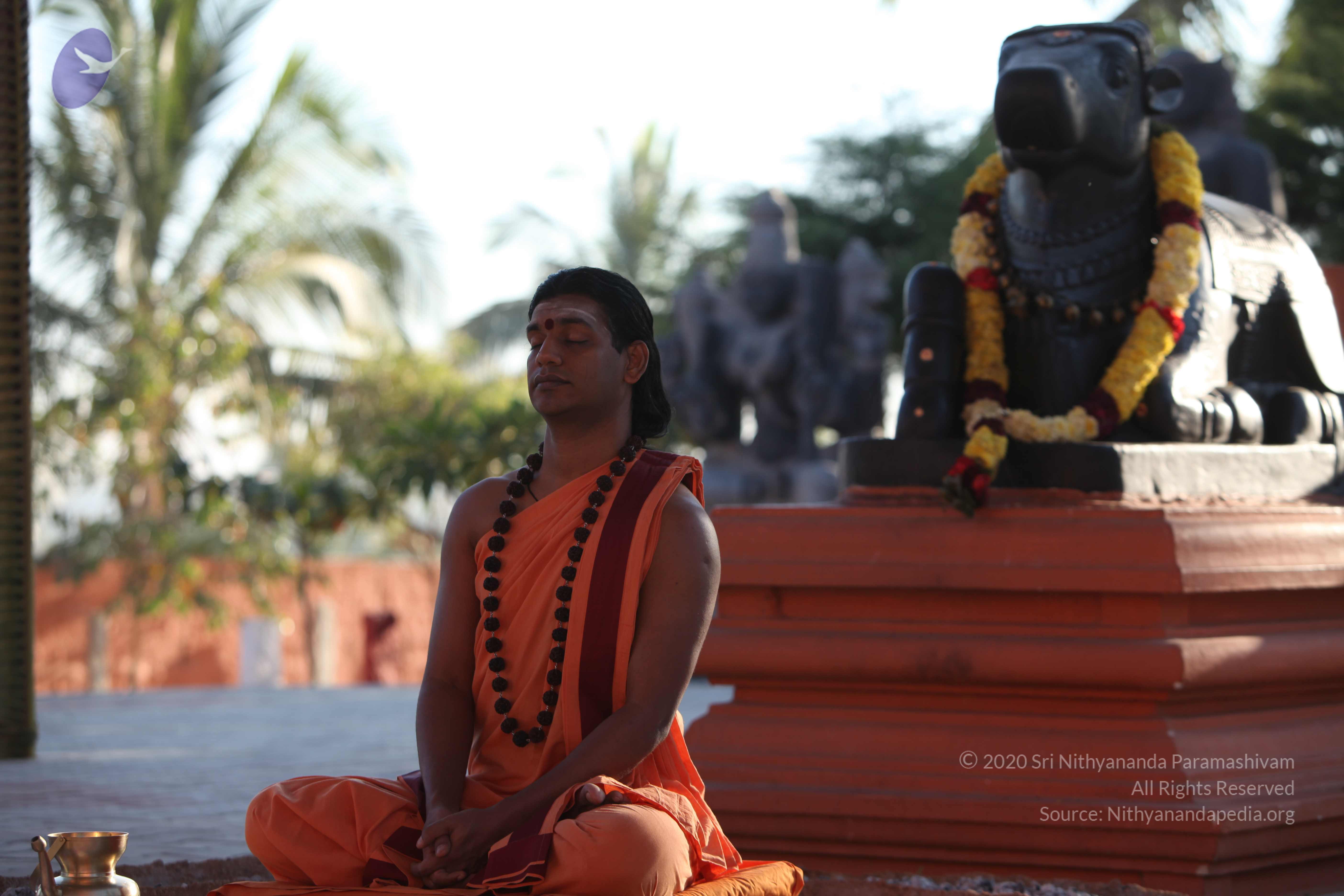 20110305_Photo_1033_IMG_7295_CMP_WM