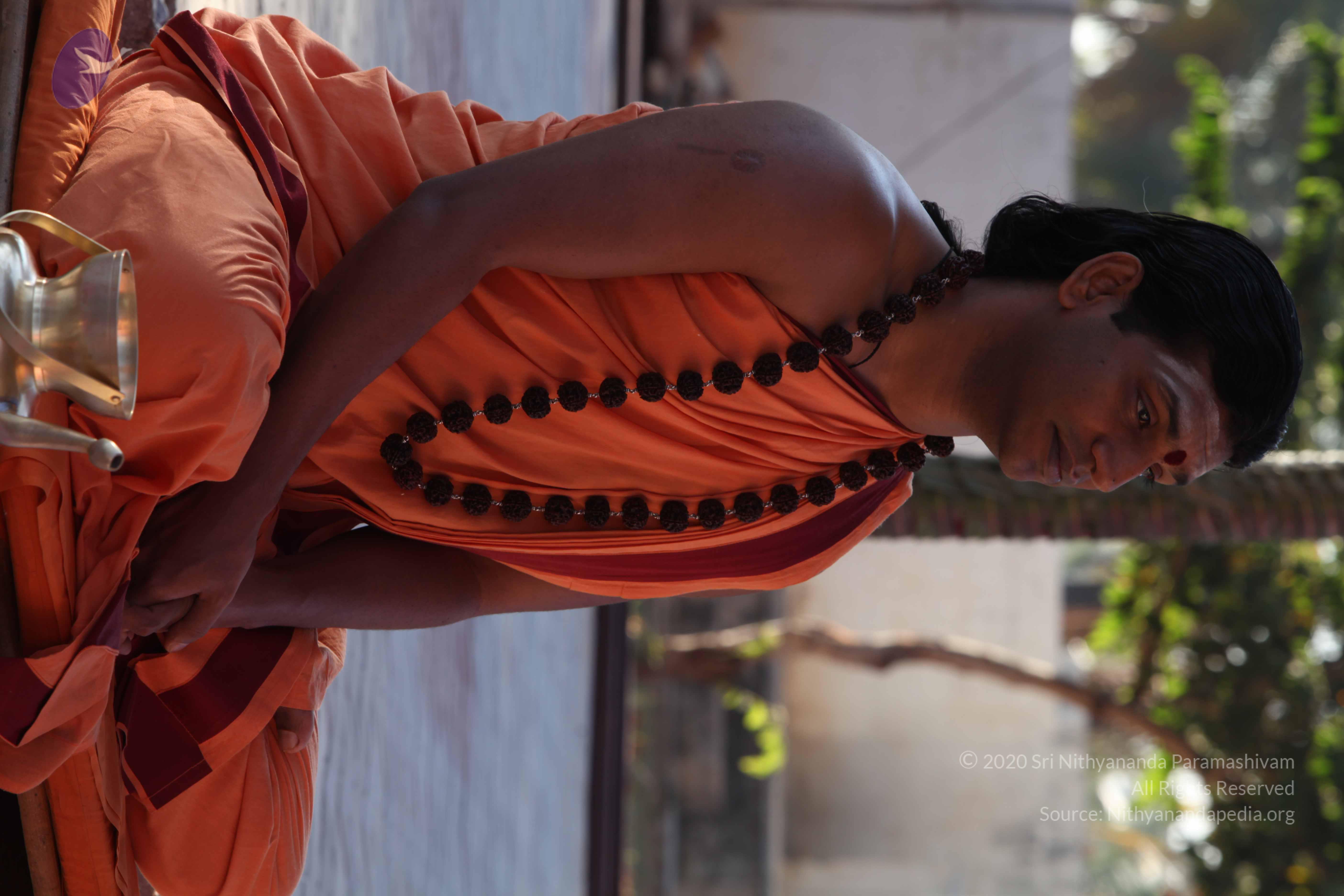 20110305_Photo_1034_IMG_7349_CMP_WM