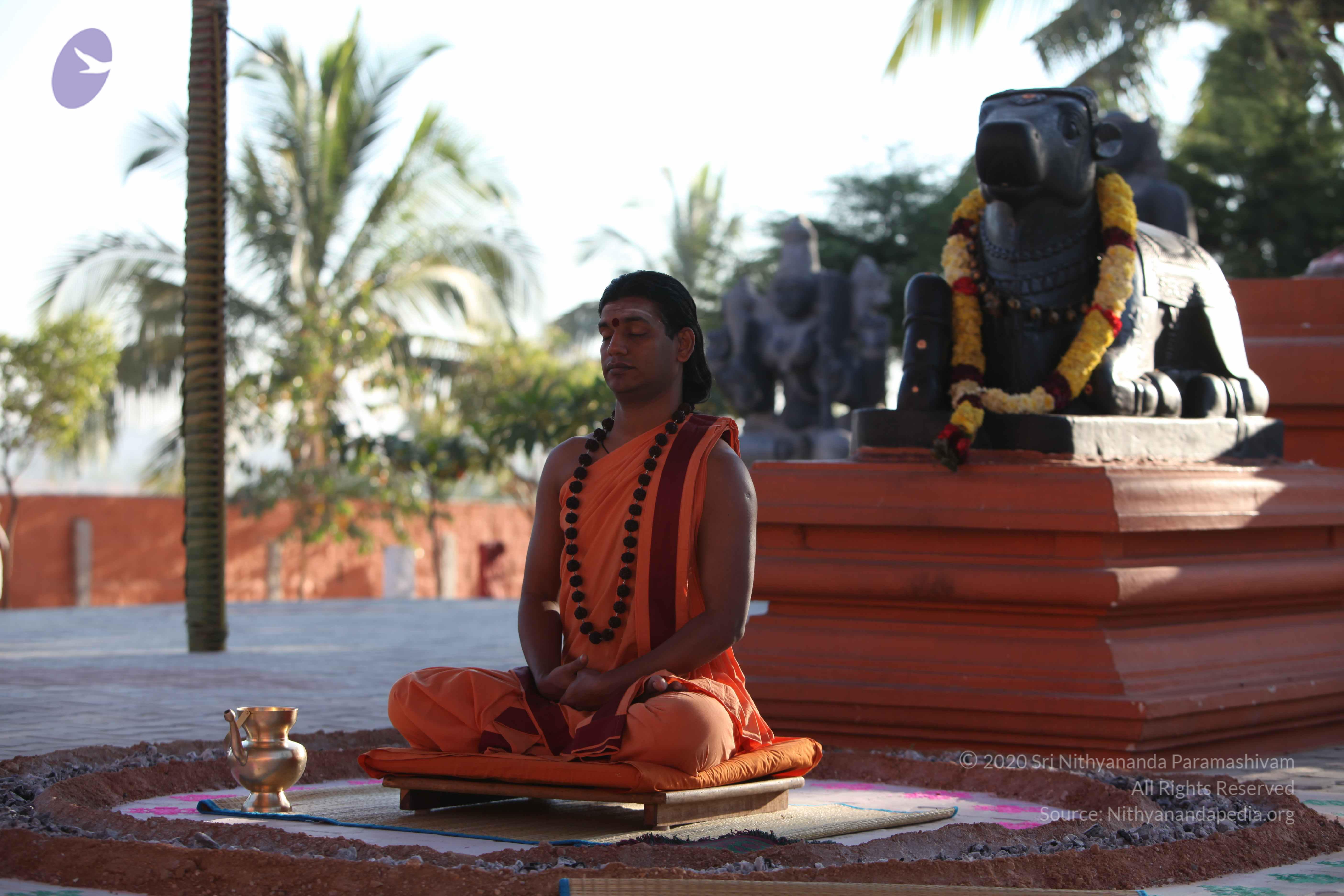 20110305_Photo_1040_IMG_7296_CMP_WM