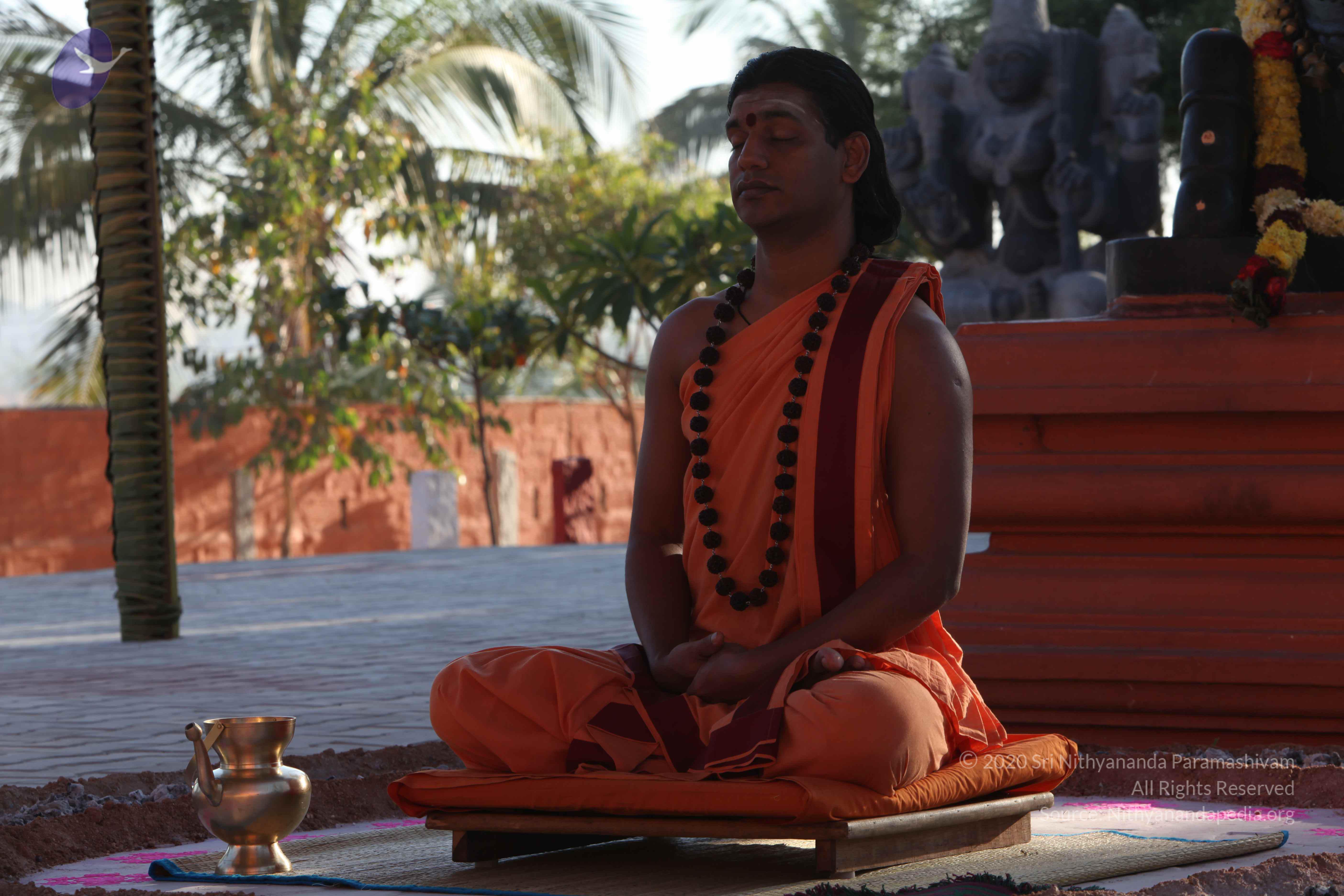 20110305_Photo_1041_IMG_7303_CMP_WM