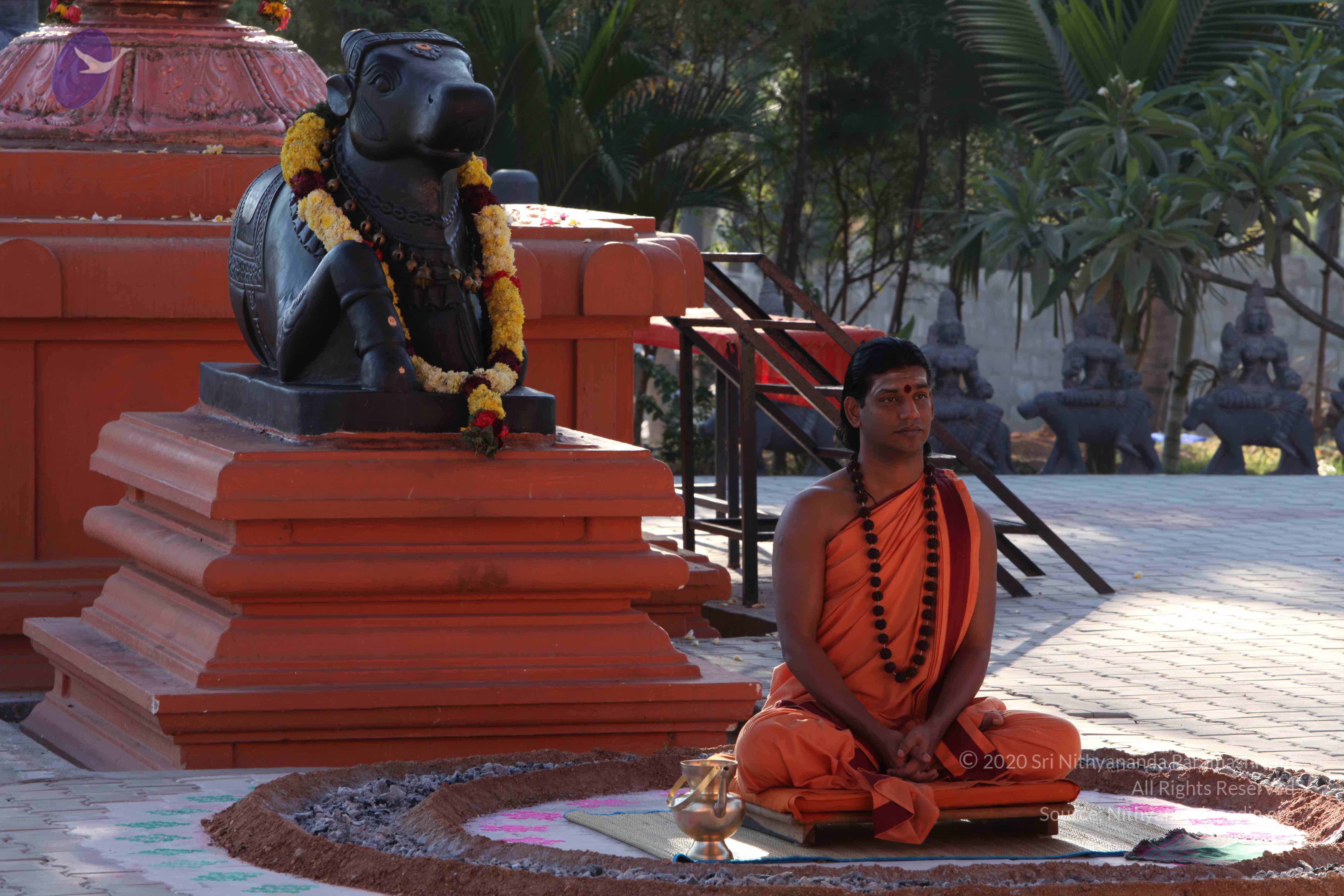 20110305_Photo_1042_IMG_7334_CMP_WM