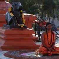 20110305_Photo_1042_IMG_7334_CMP_WM