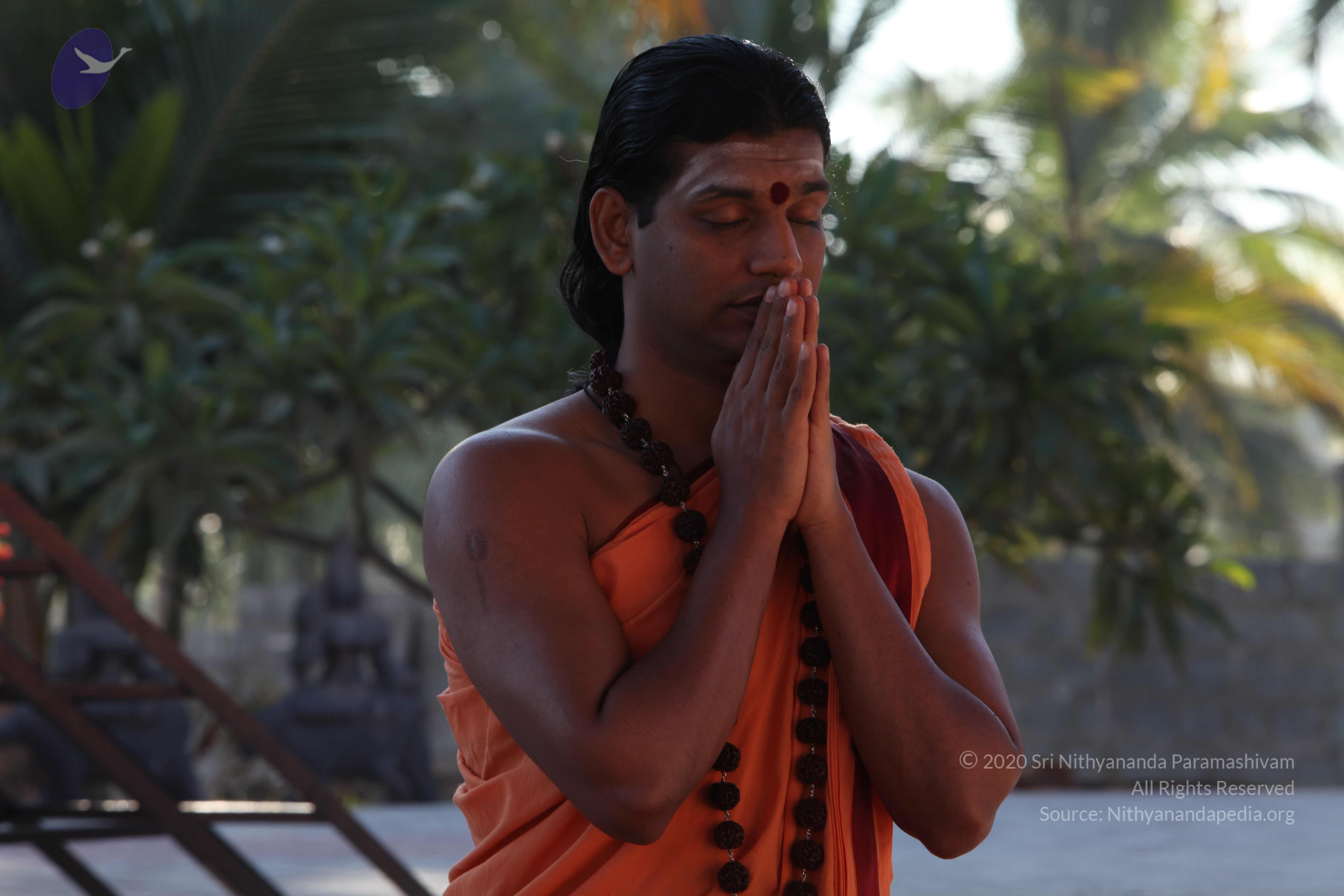 20110305_Photo_1043_IMG_7361_CMP_WM