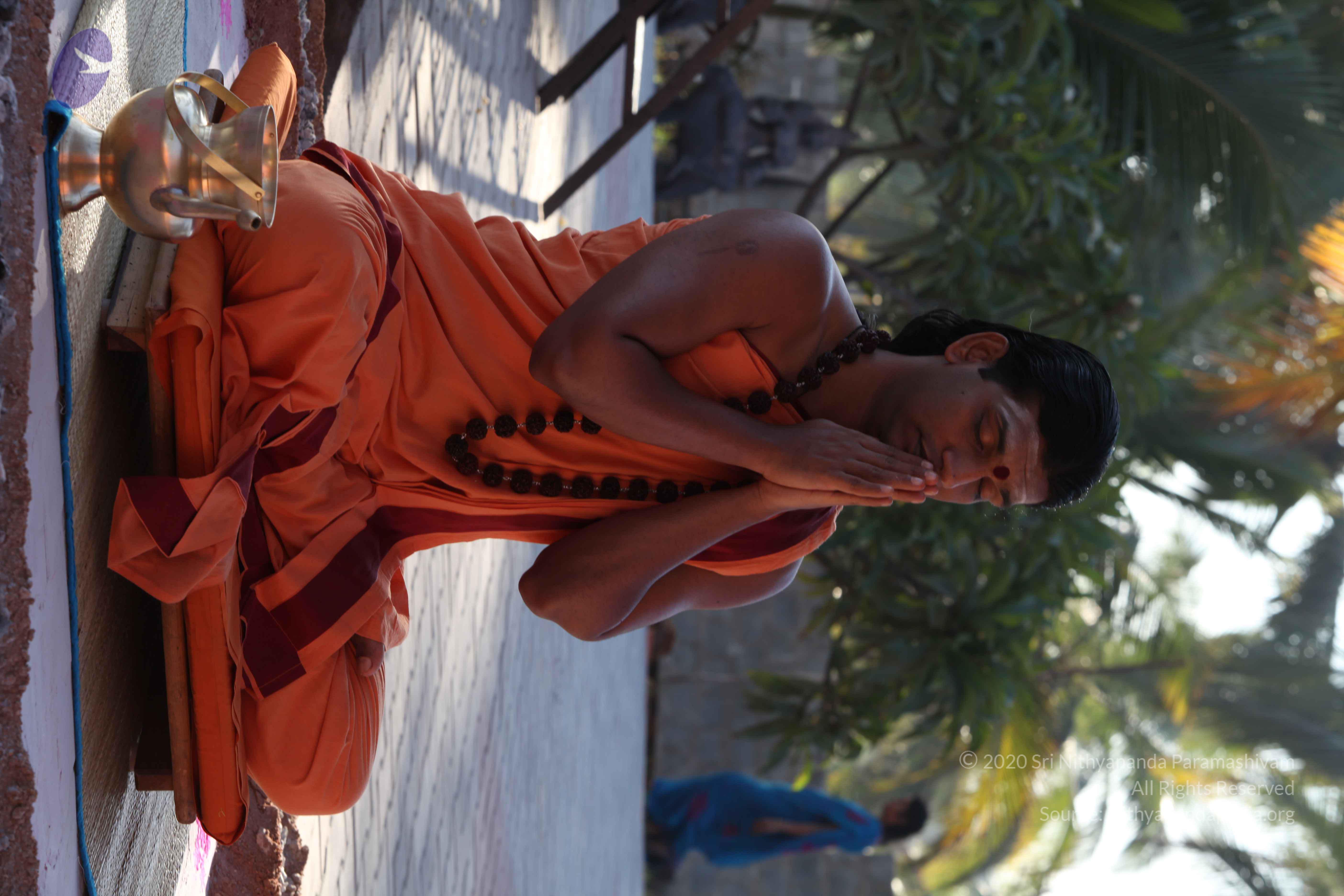 20110305_Photo_1044_IMG_7356_CMP_WM