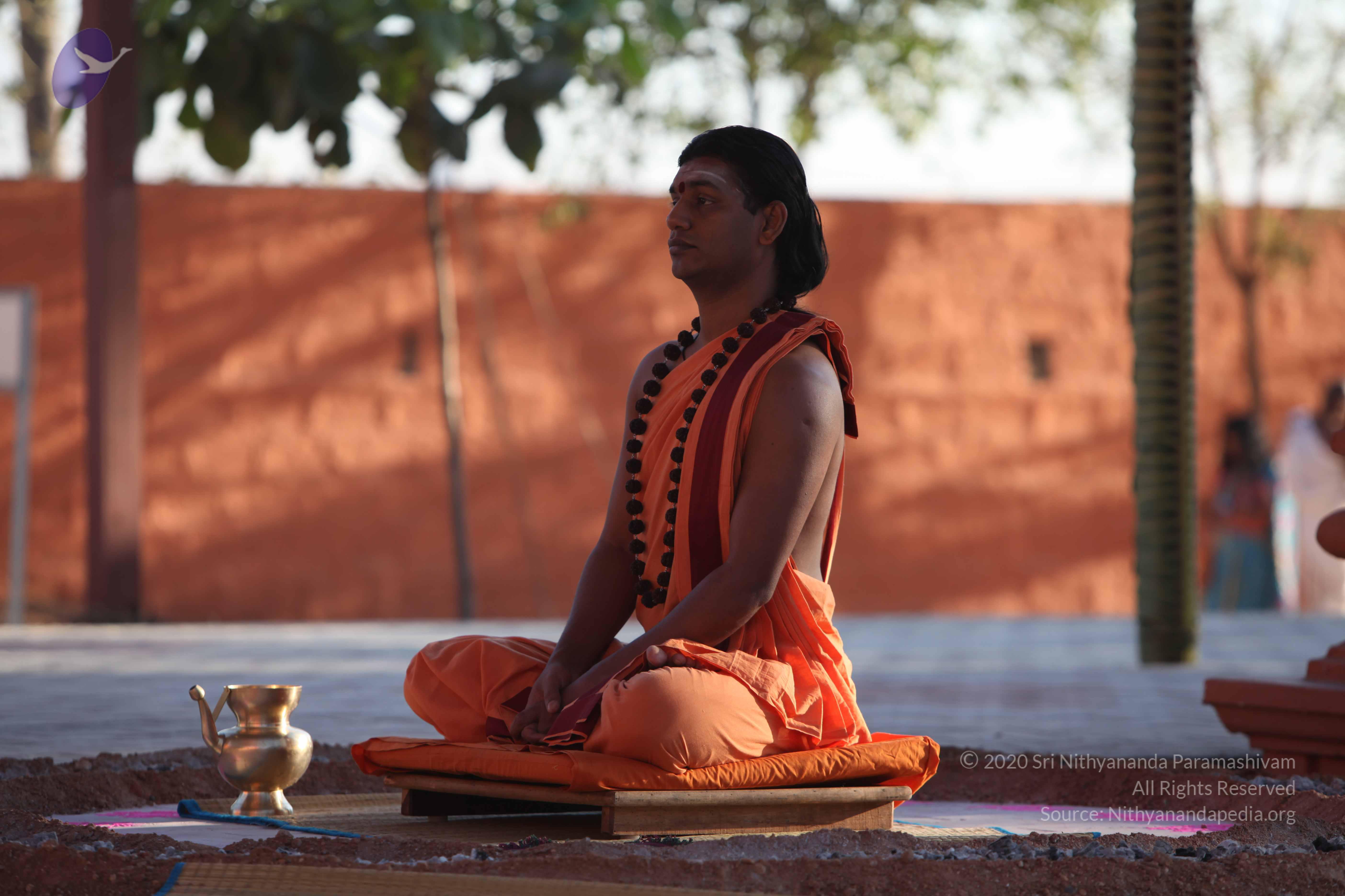 20110305_Photo_1045_IMG_7293_CMP_WM