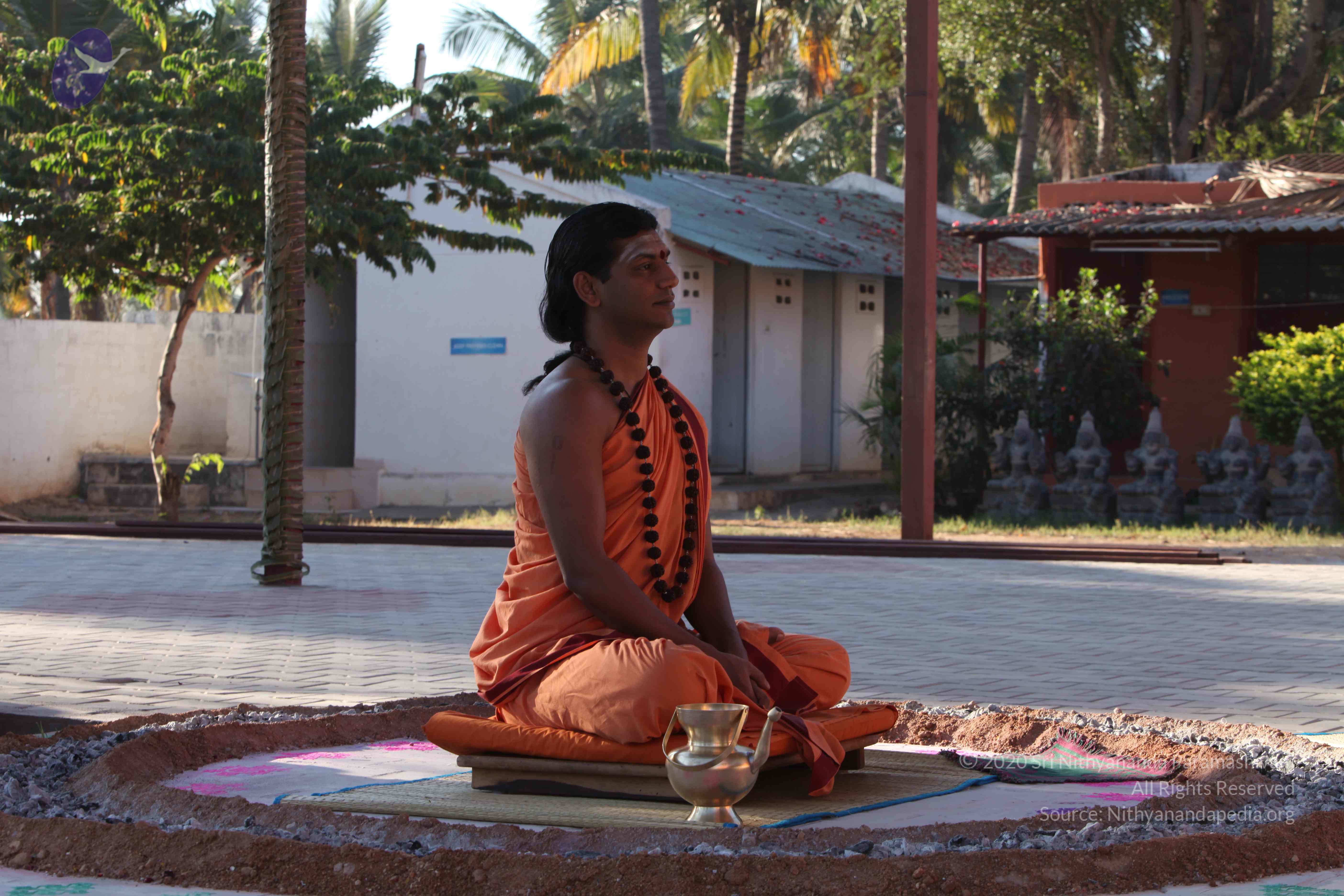 20110305_Photo_1046_IMG_7331_CMP_WM