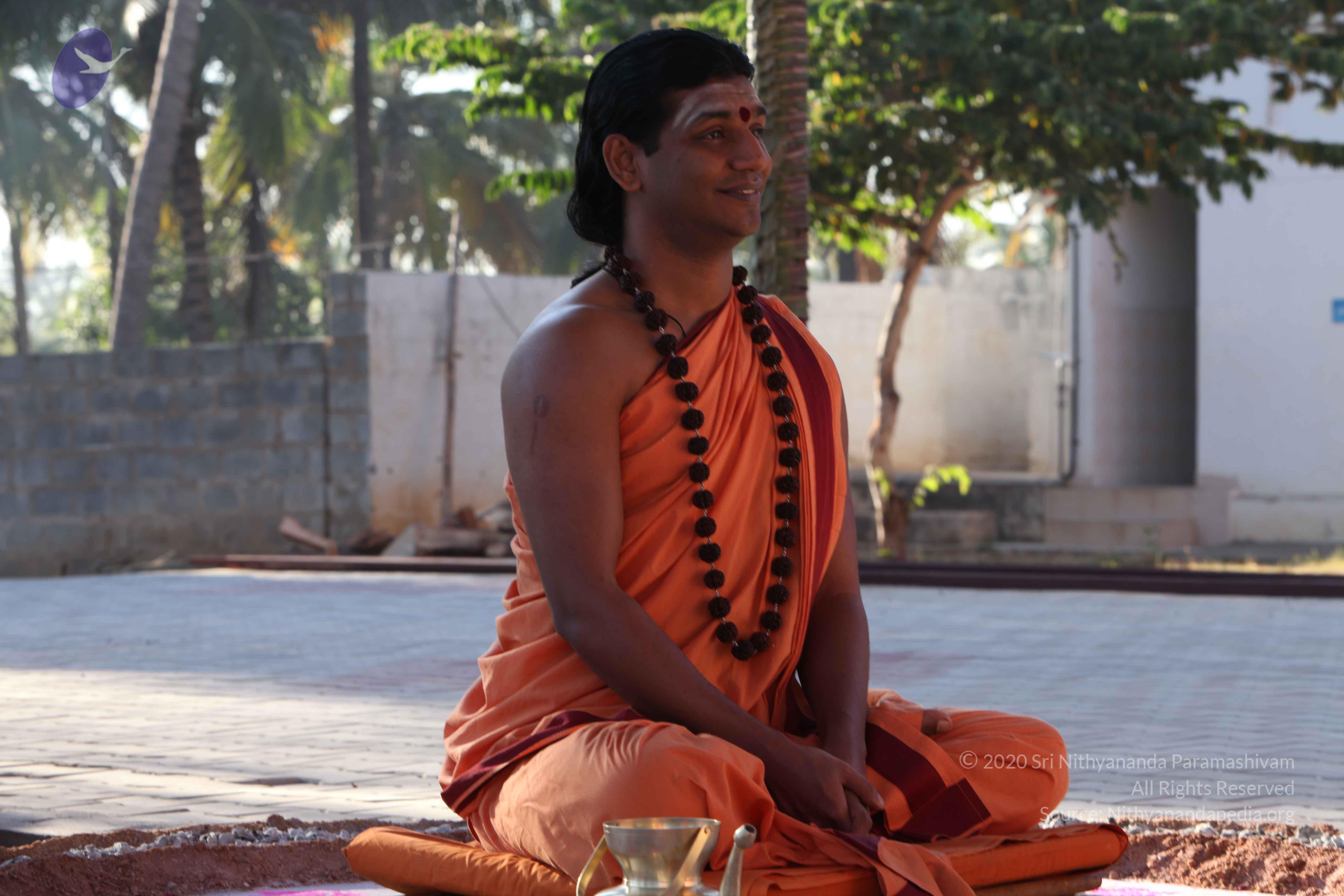 20110305_Photo_1050_IMG_7342_CMP_WM