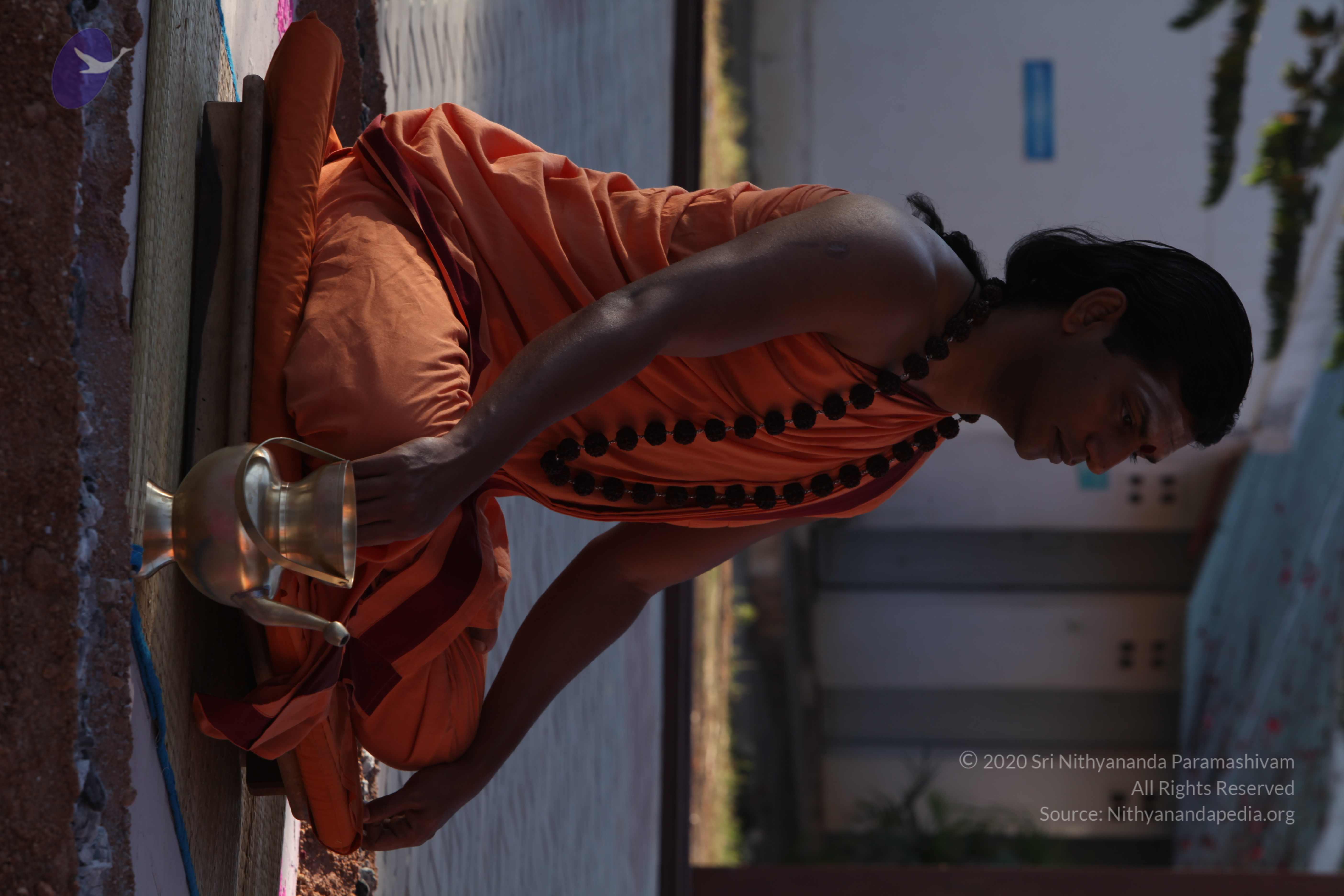 20110305_Photo_1051_IMG_7317_CMP_WM