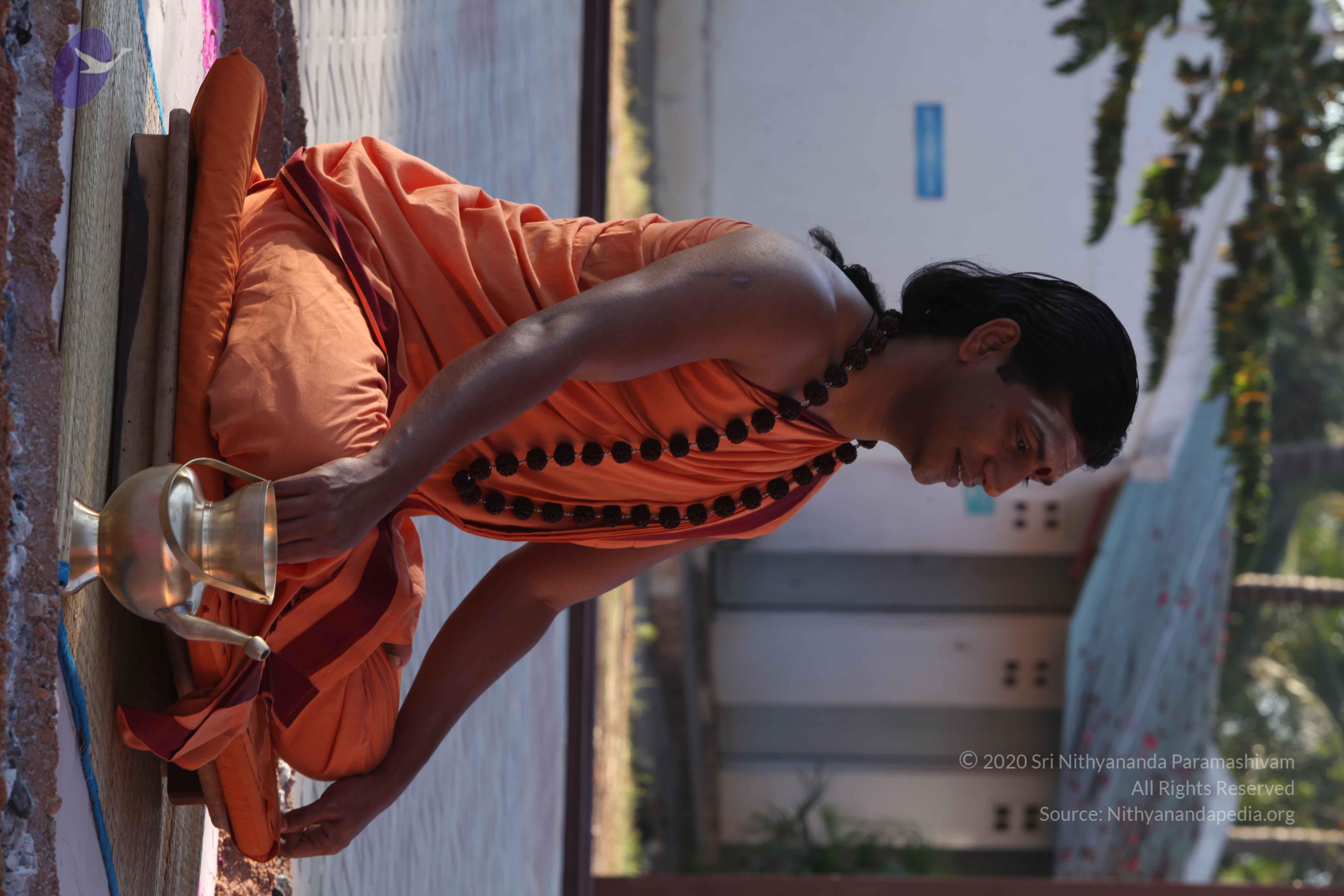 20110305_Photo_1052_IMG_7320_CMP_WM