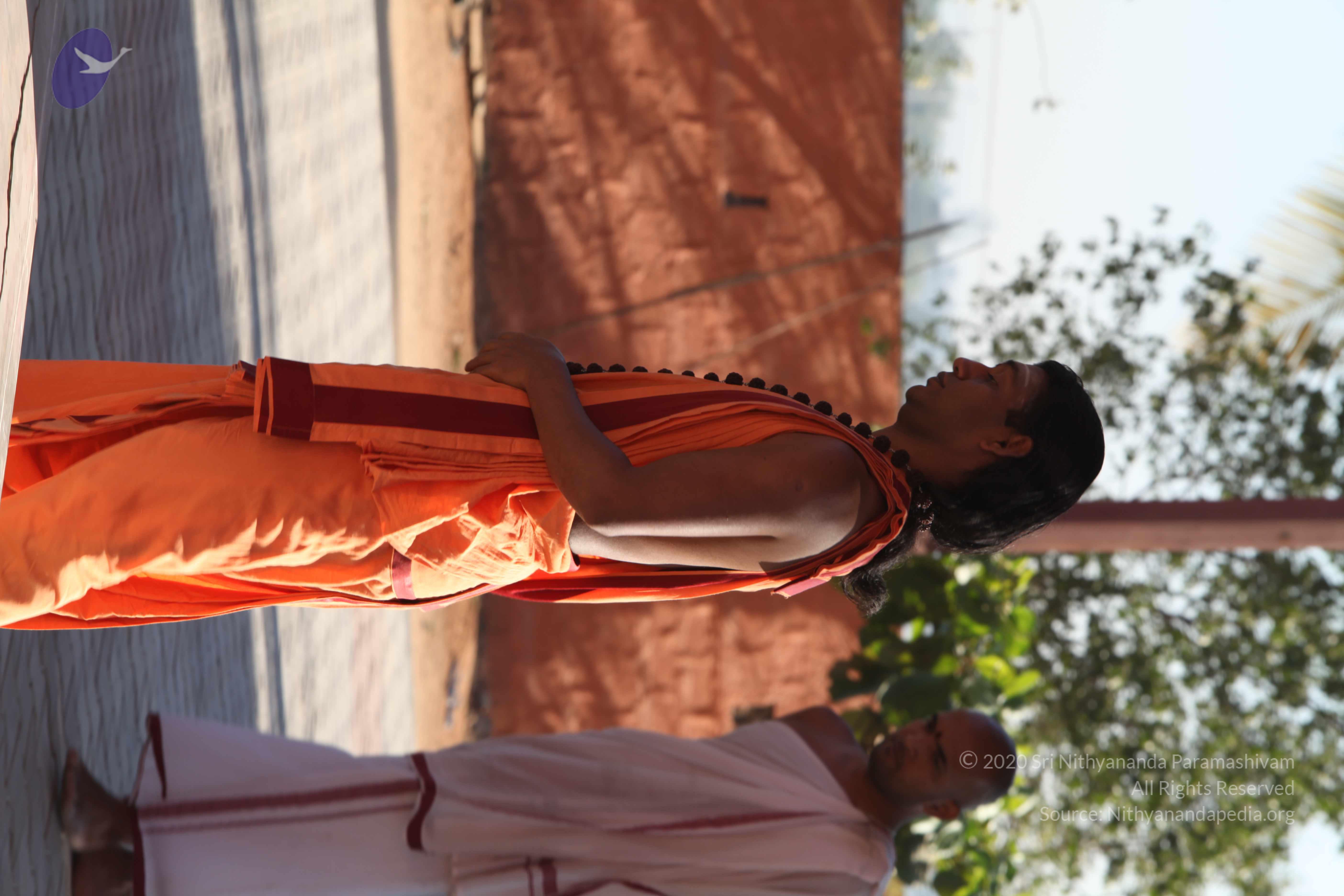 20110305_Photo_1053_IMG_7369_CMP_WM