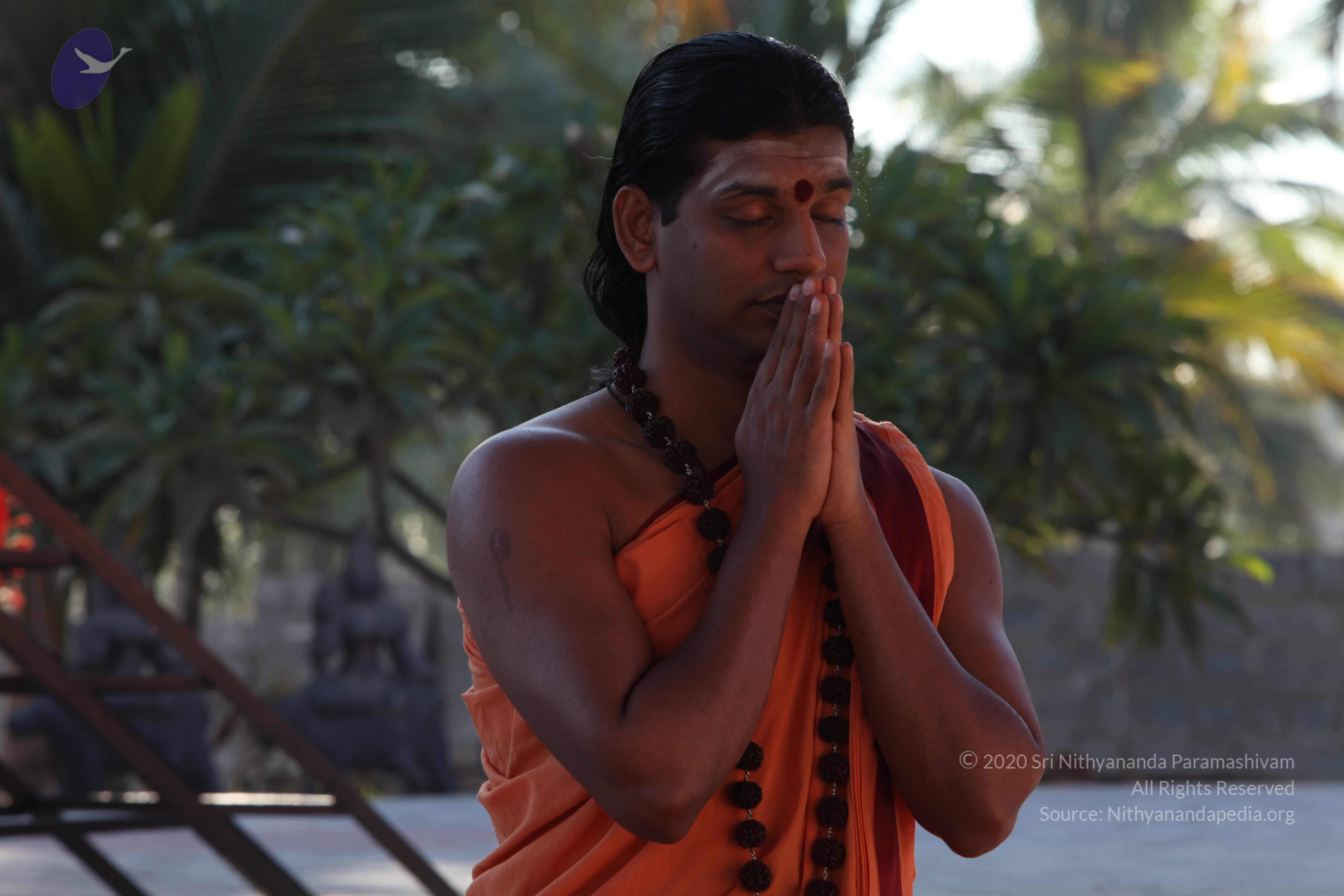 20110305_Photo_1056_IMG_7359_CMP_WM