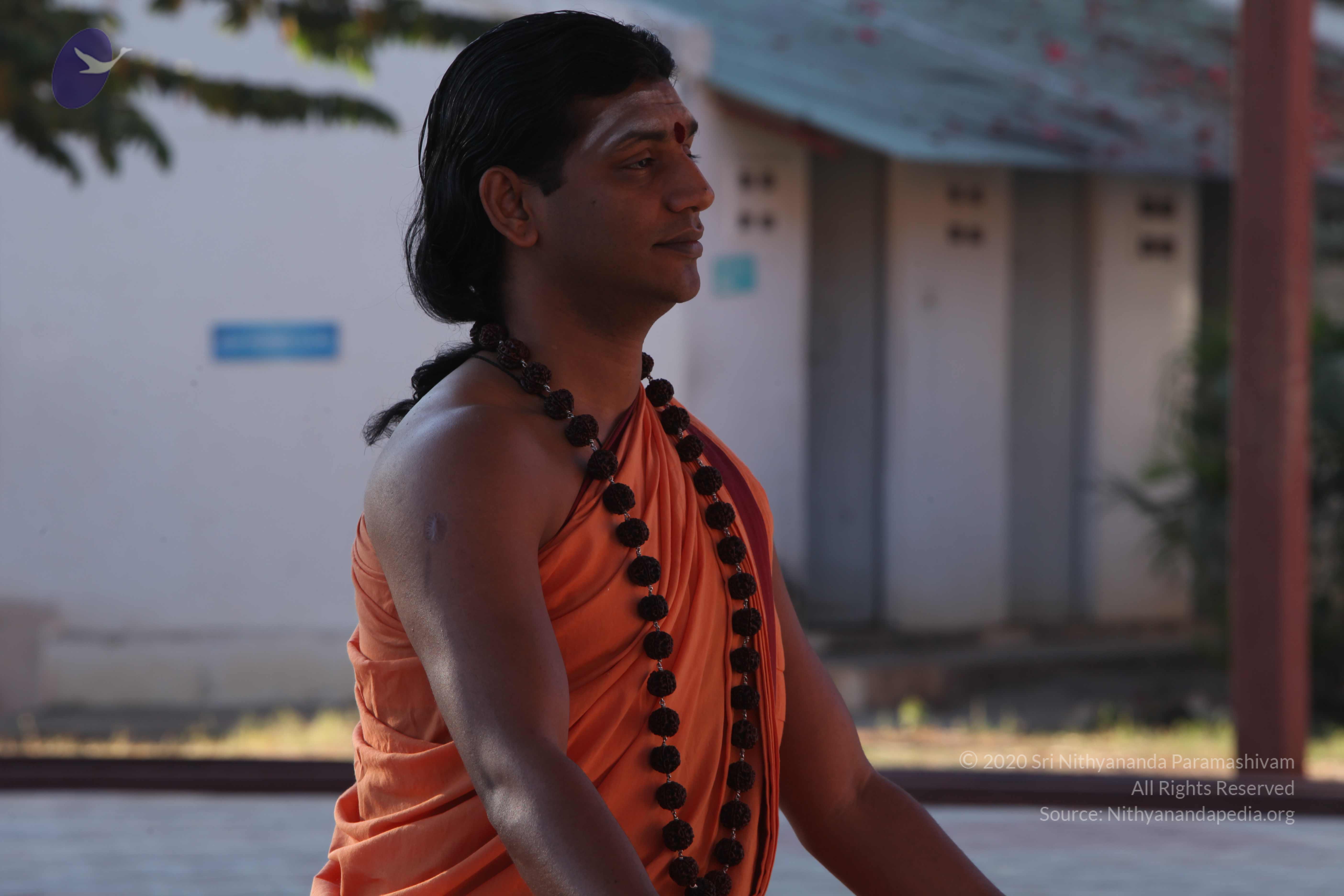 20110305_Photo_1059_IMG_7327_CMP_WM