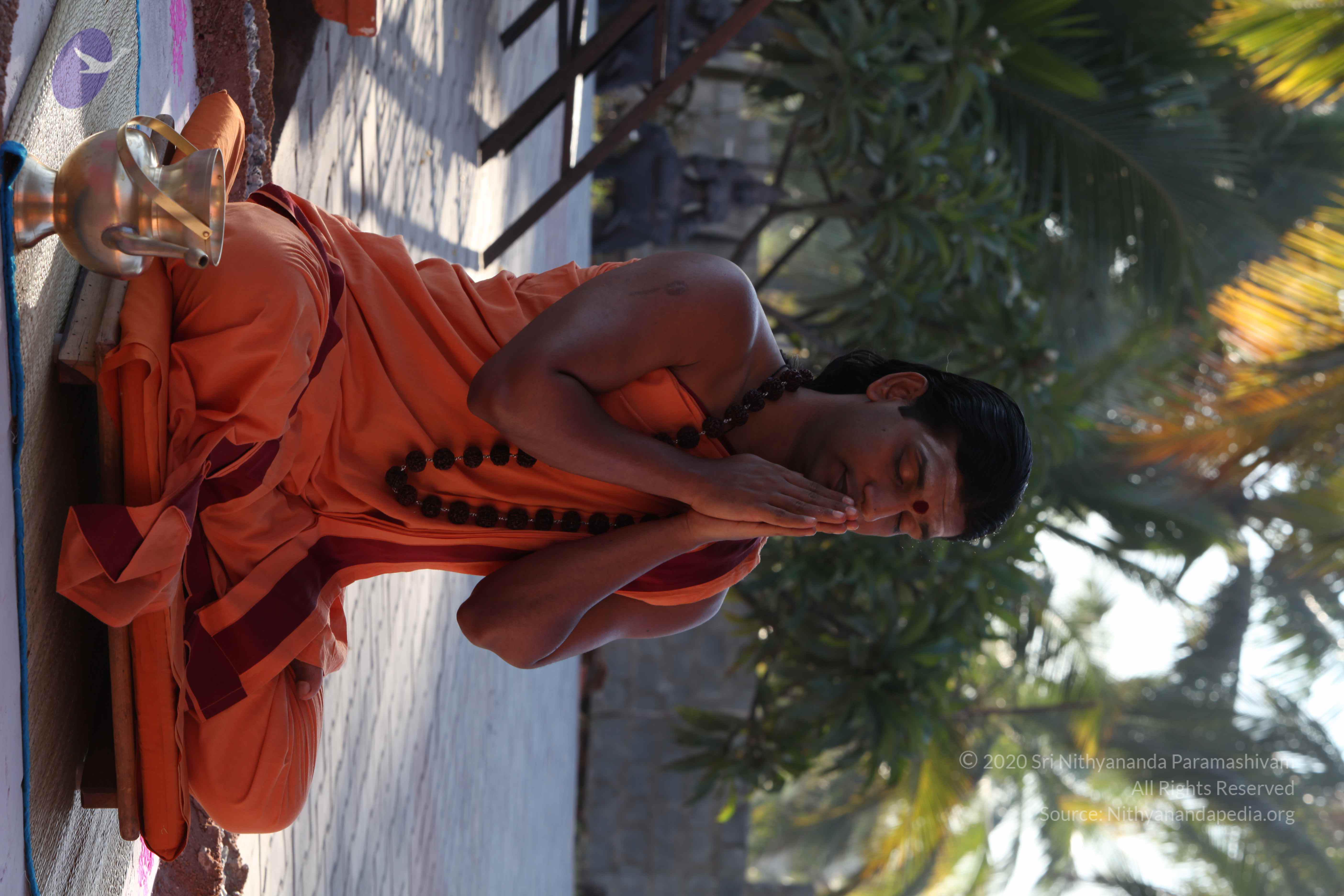 20110305_Photo_1061_IMG_7354_CMP_WM