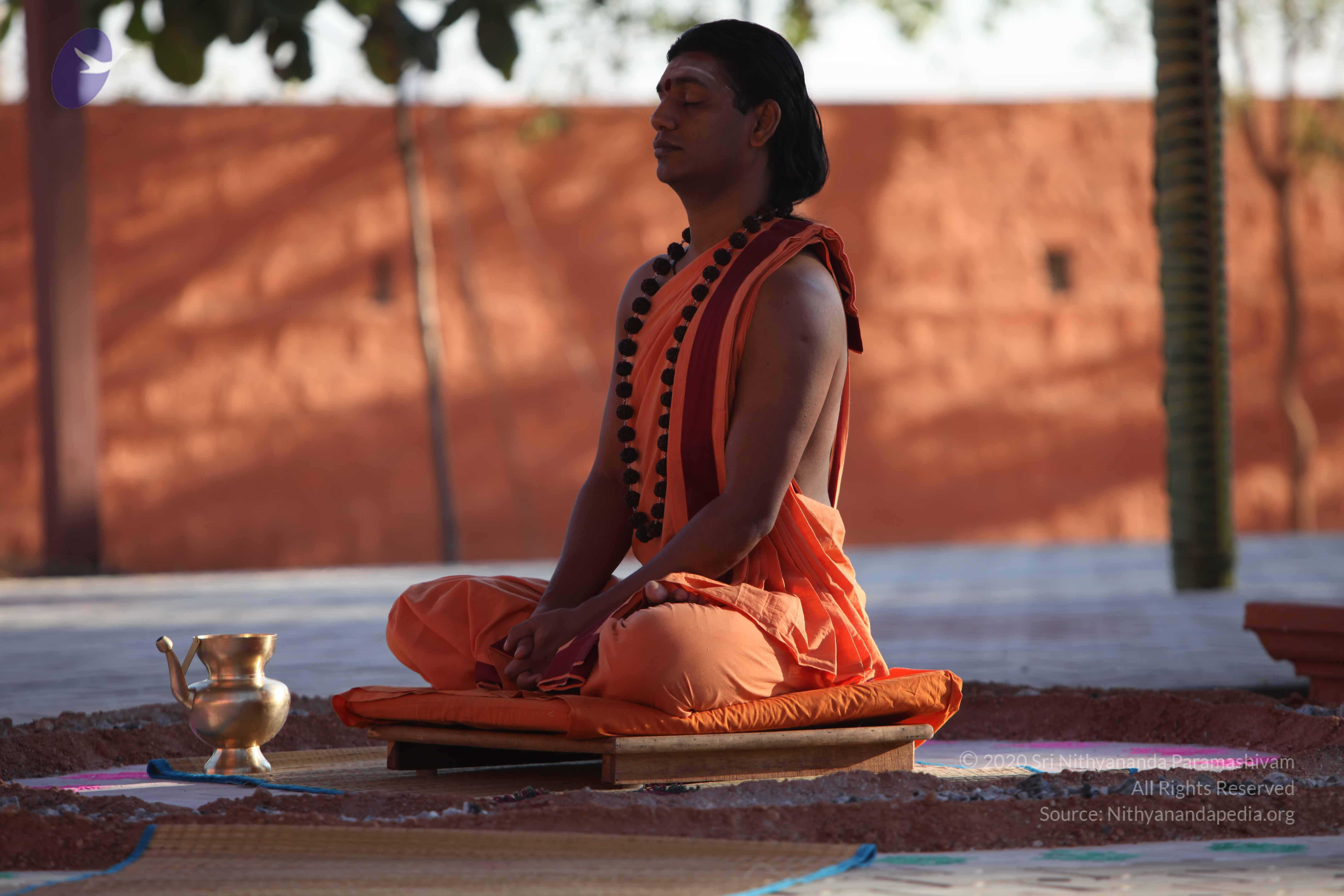 20110305_Photo_1064_IMG_7294_CMP_WM