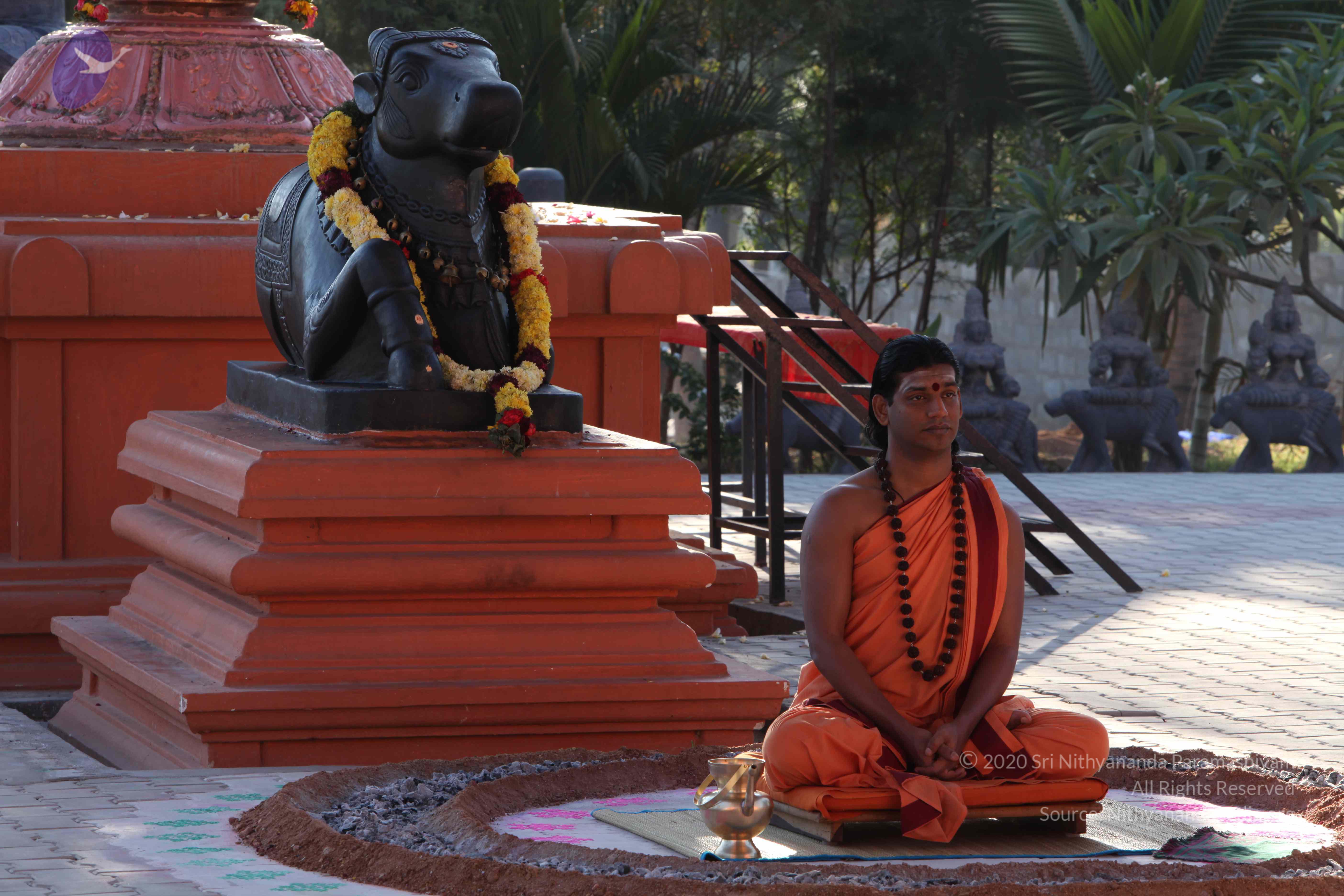 20110305_Photo_1066_IMG_7333_CMP_WM