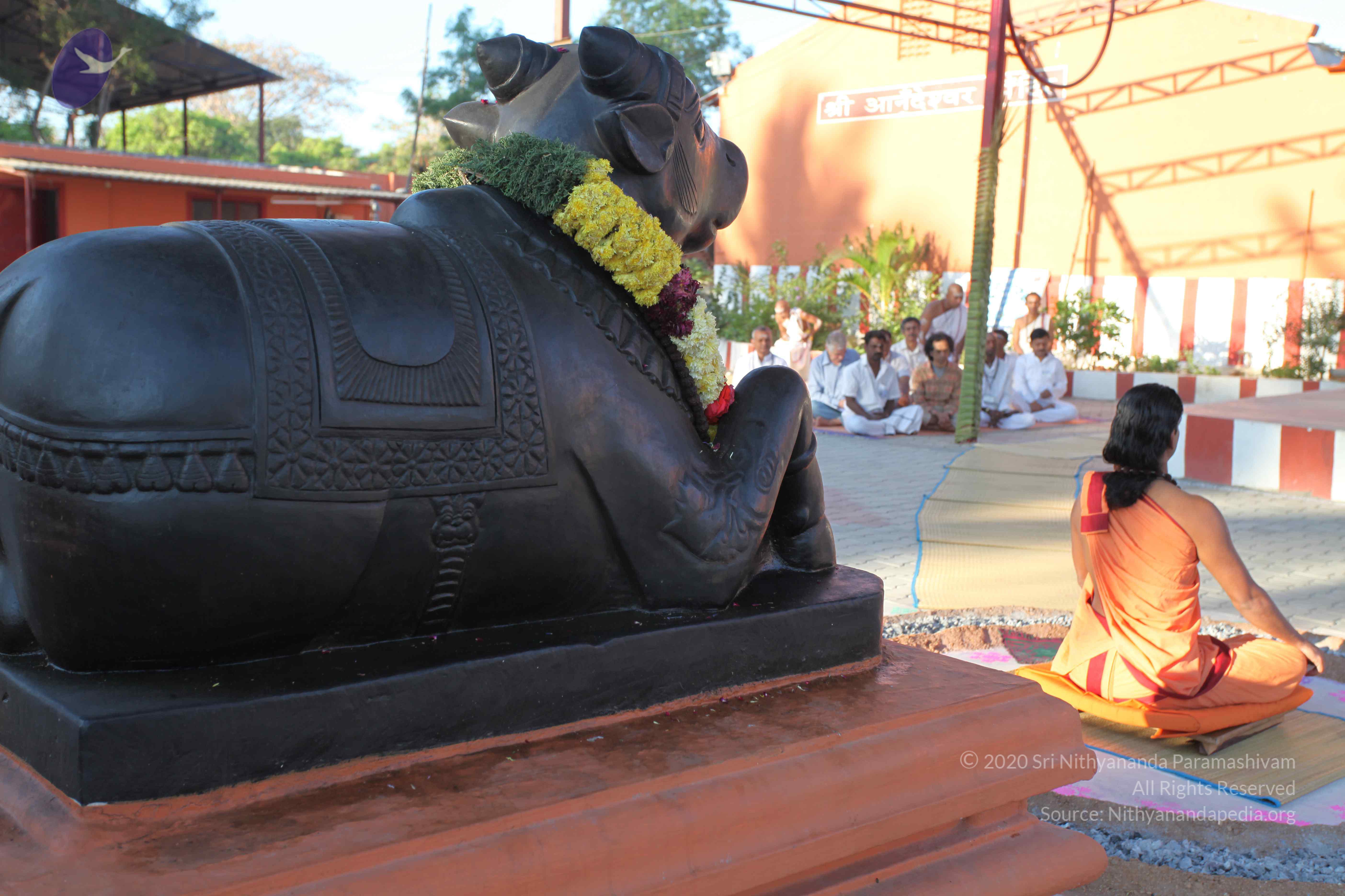 20110305_Photo_1070_IMG_7280_CMP_WM