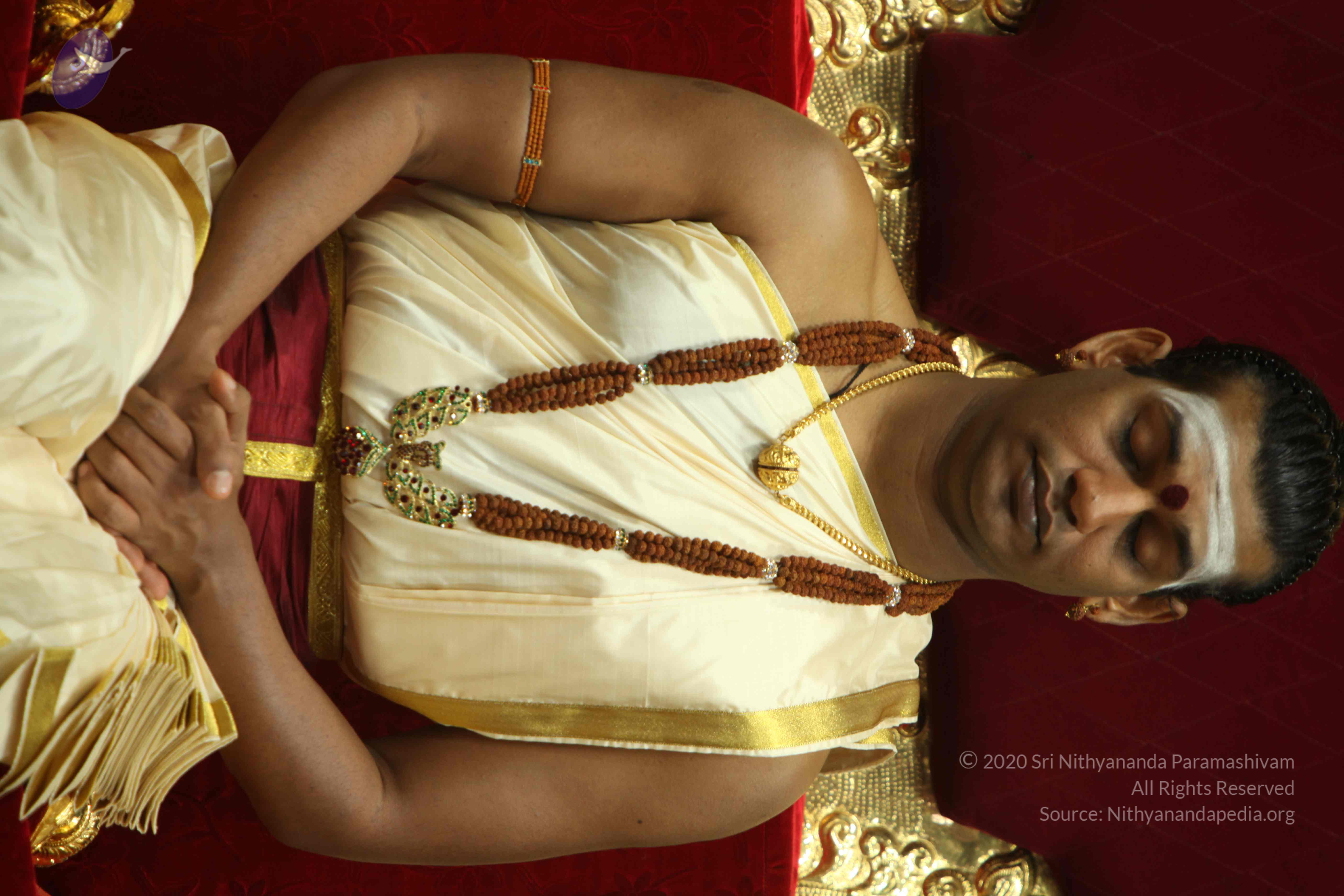 20110305_Photo_1000_IMG_7479_CMP_WM