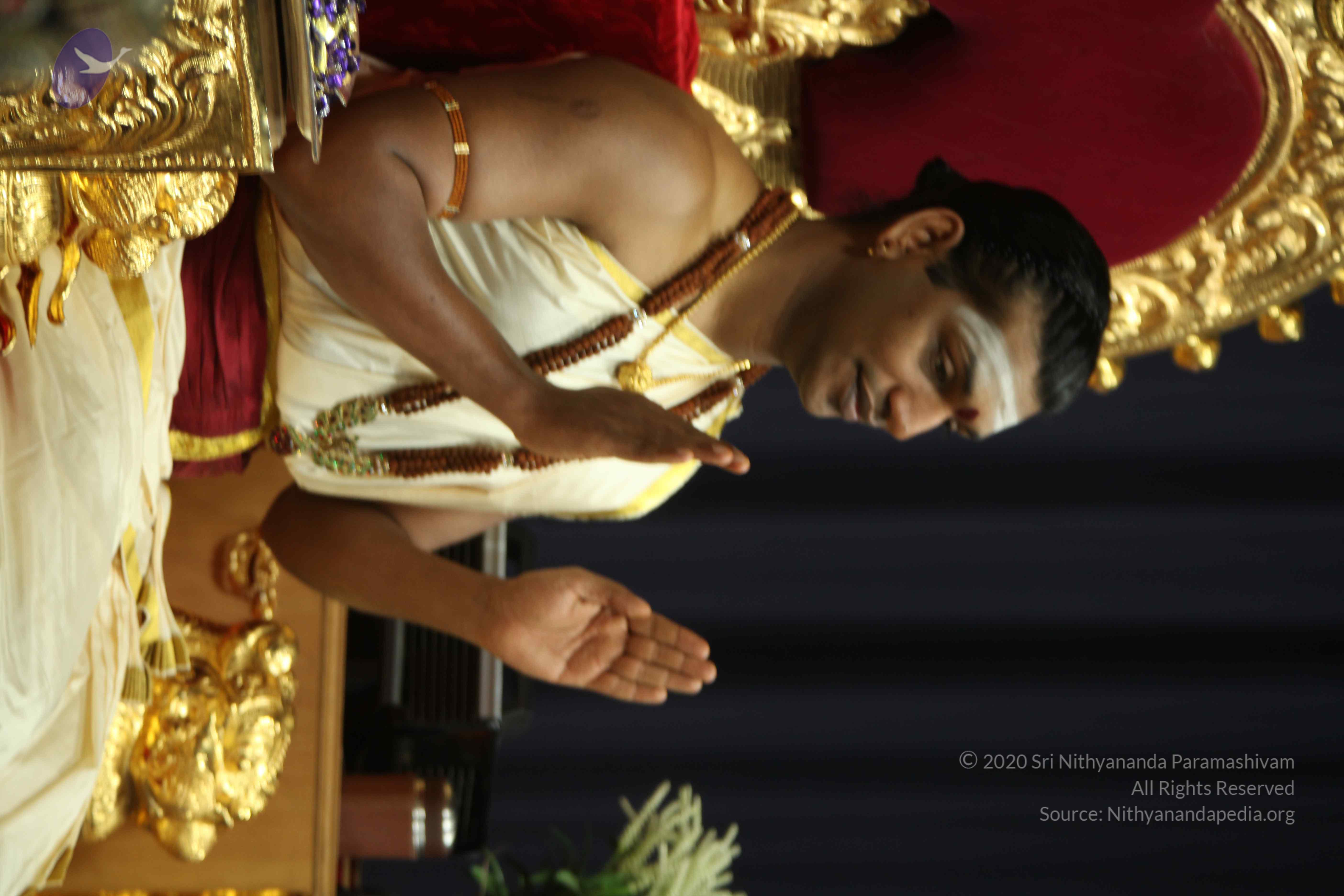 20110305_Photo_1011_IMG_7468_CMP_WM