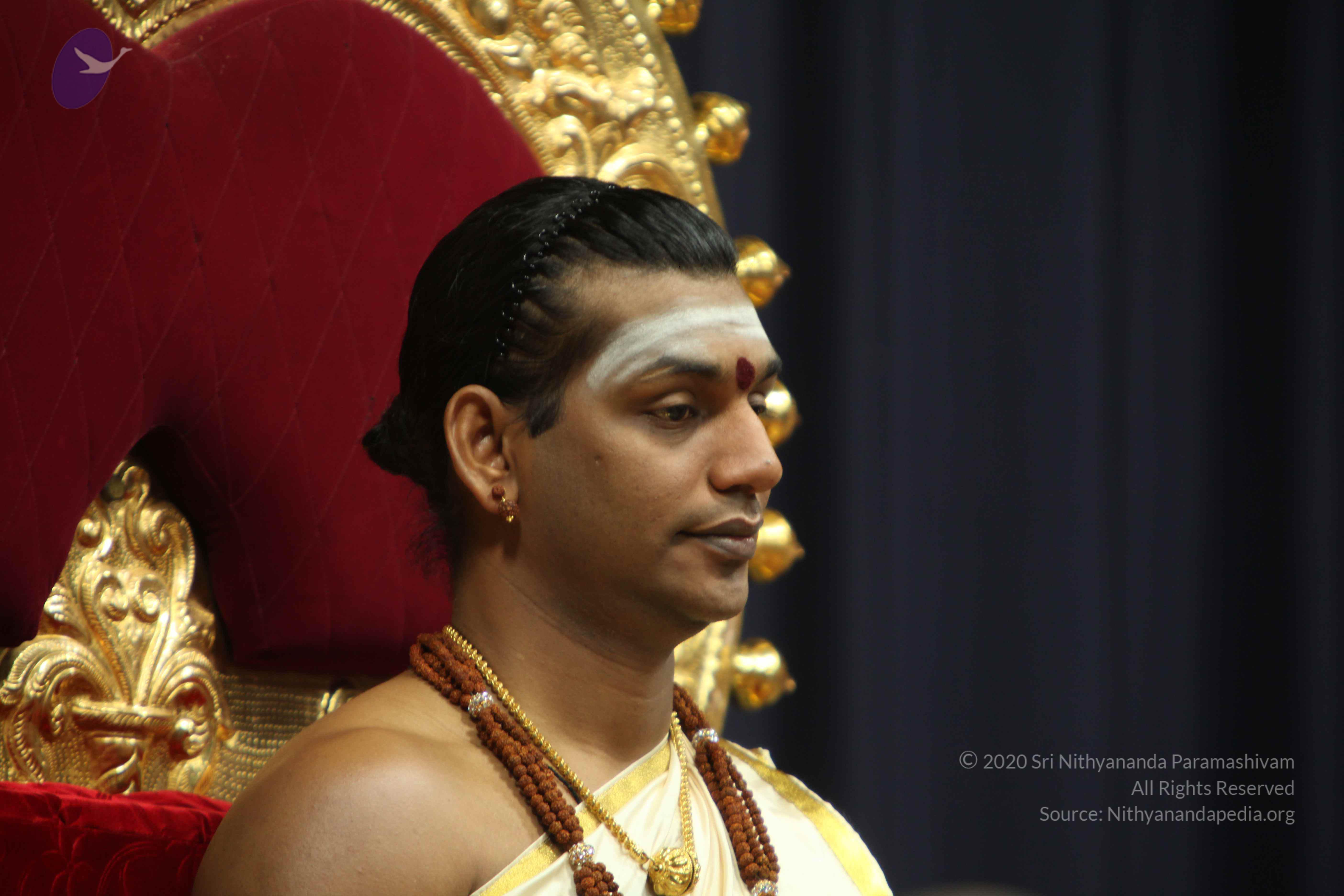 20110305_Photo_1015_IMG_7438_CMP_WM