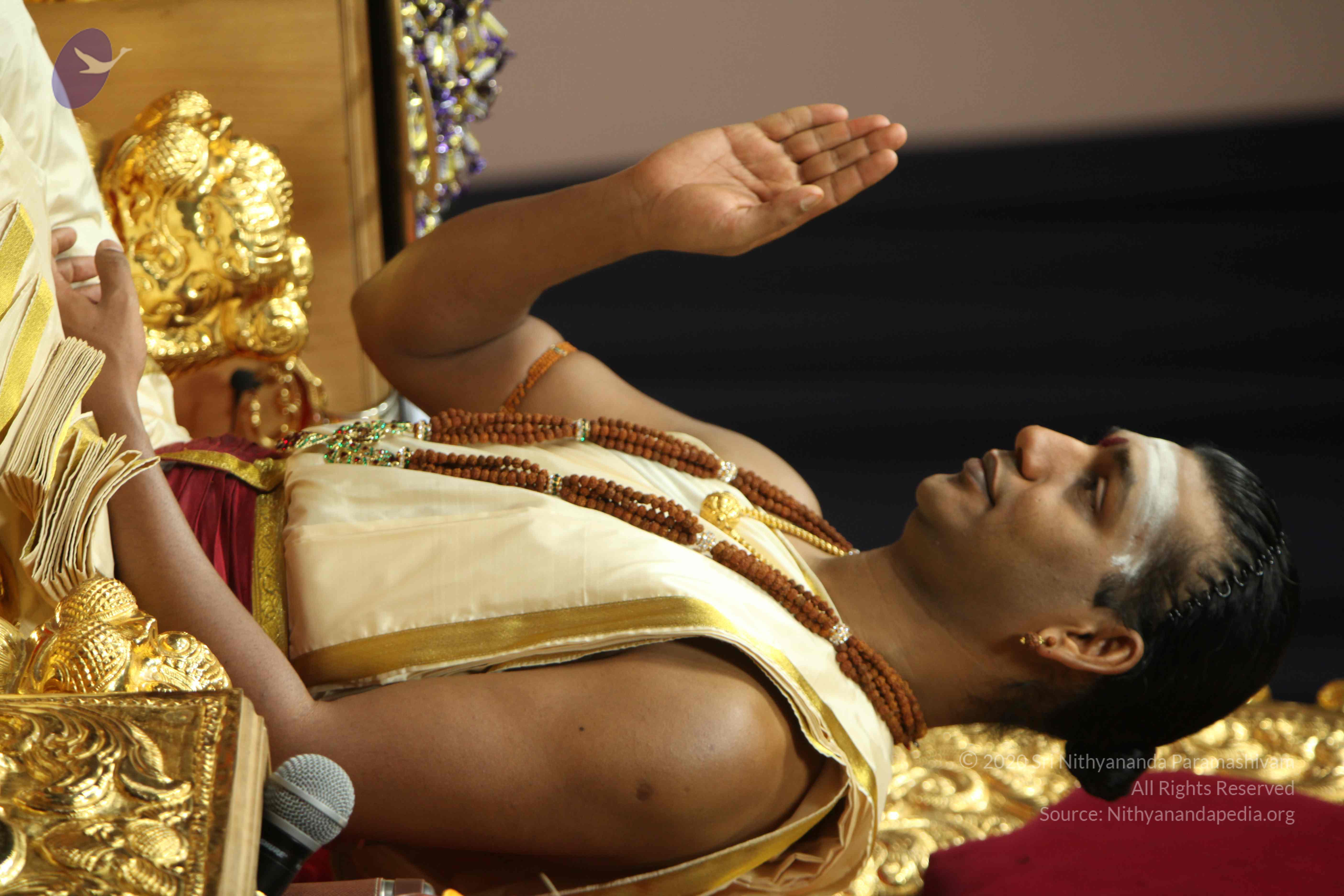 20110305_Photo_1017_IMG_7429_CMP_WM