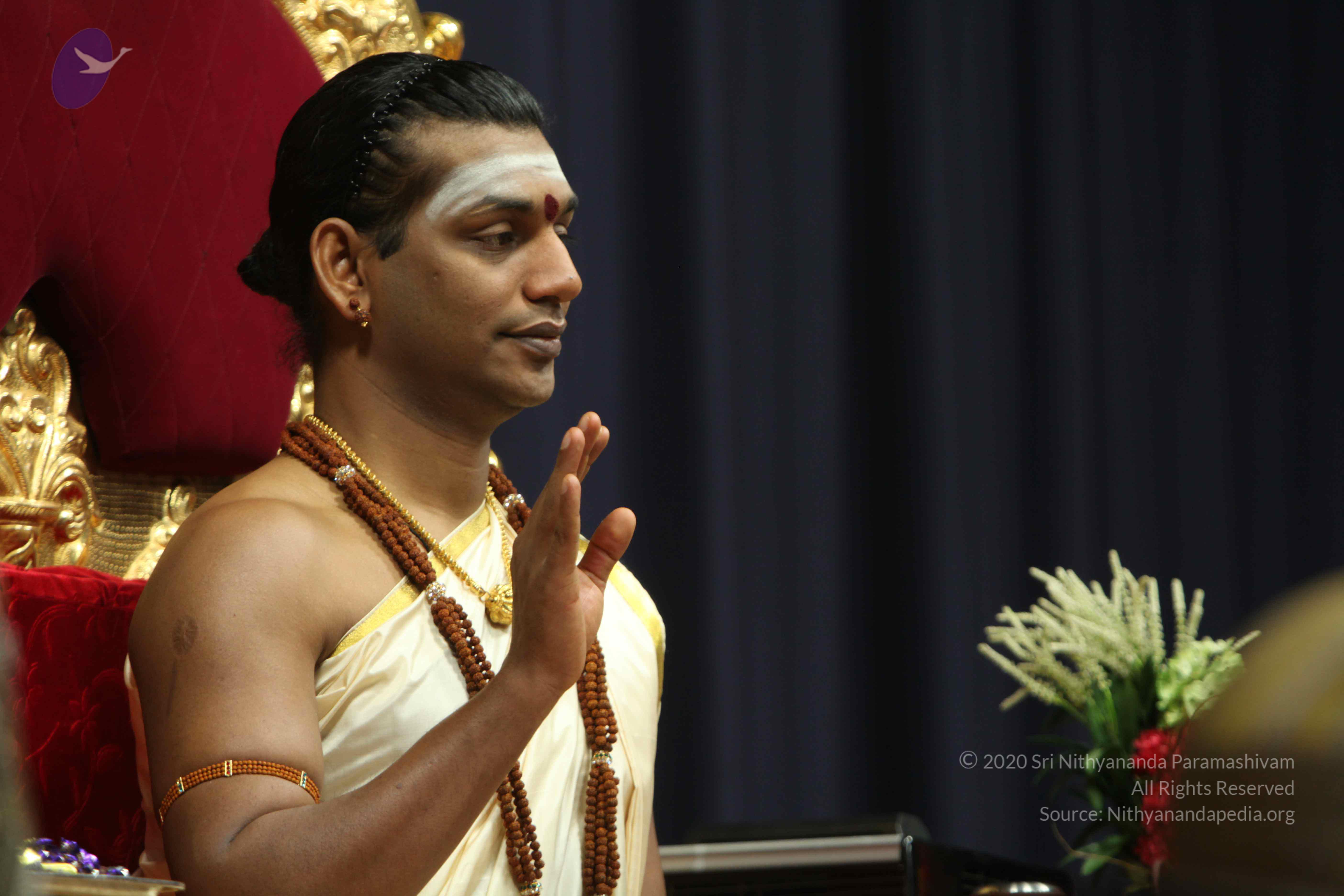 20110305_Photo_1020_IMG_7435_CMP_WM