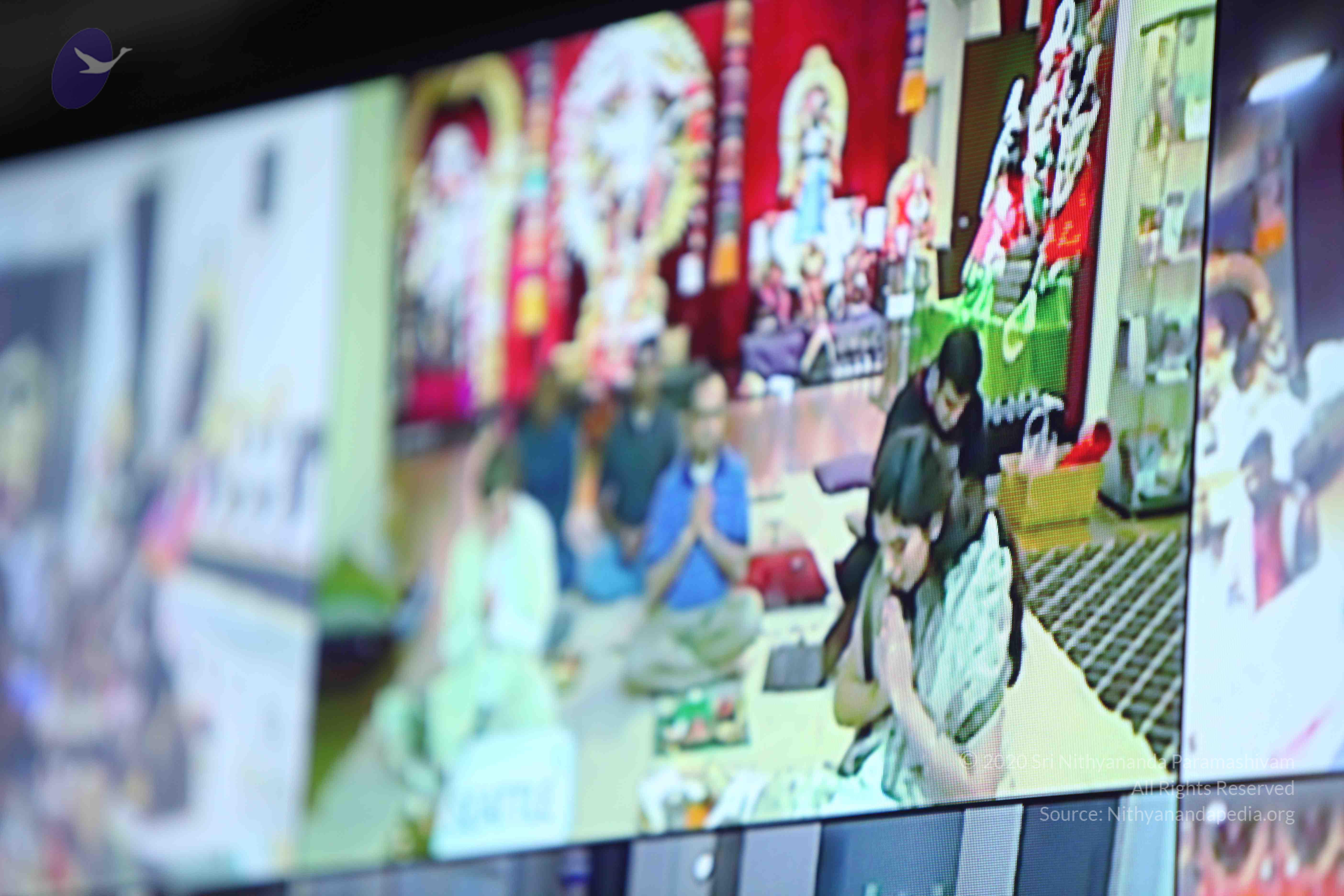 20110305_Photo_1048_IMG_7447_CMP_WM