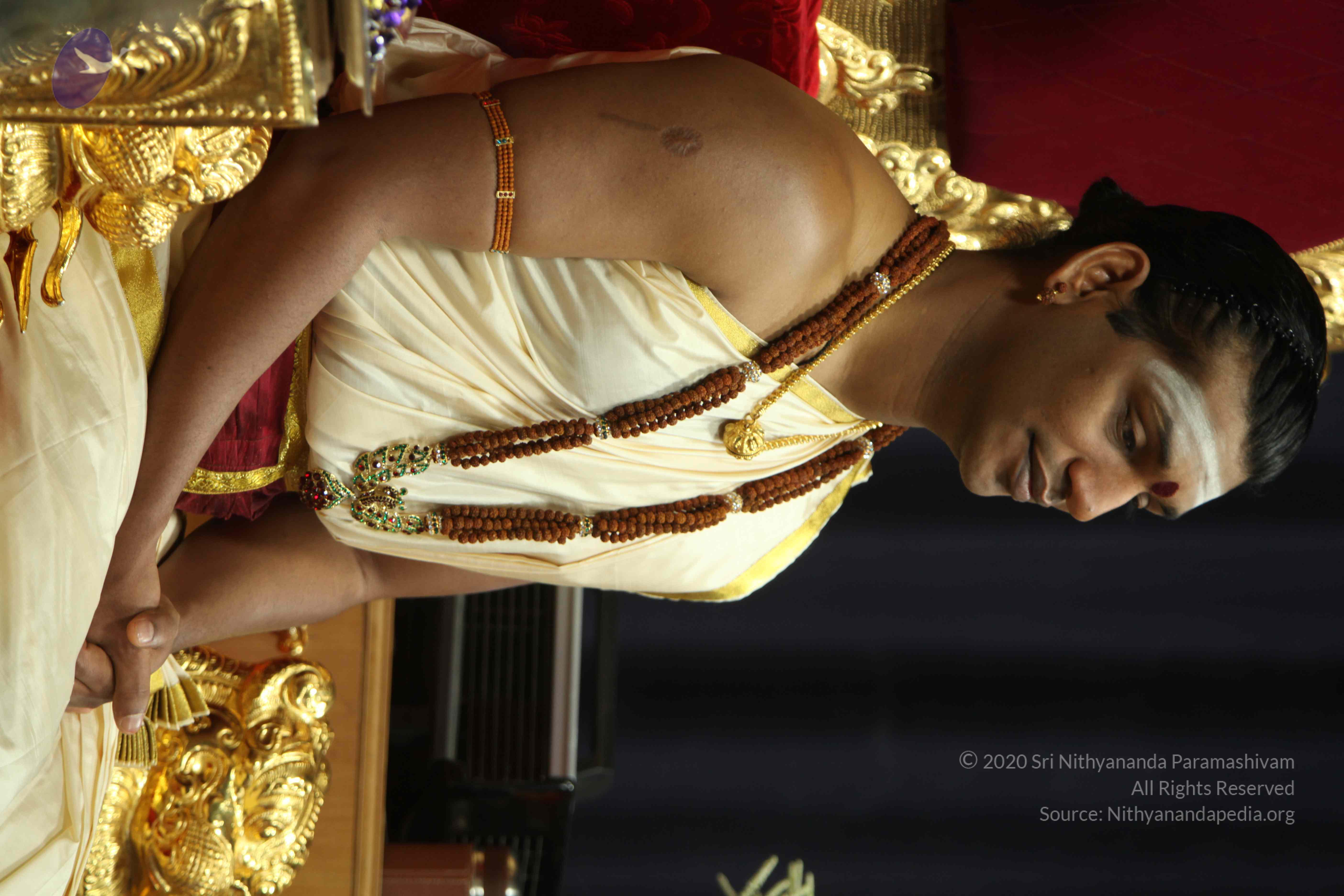 20110305_Photo_1059_IMG_7464_CMP_WM