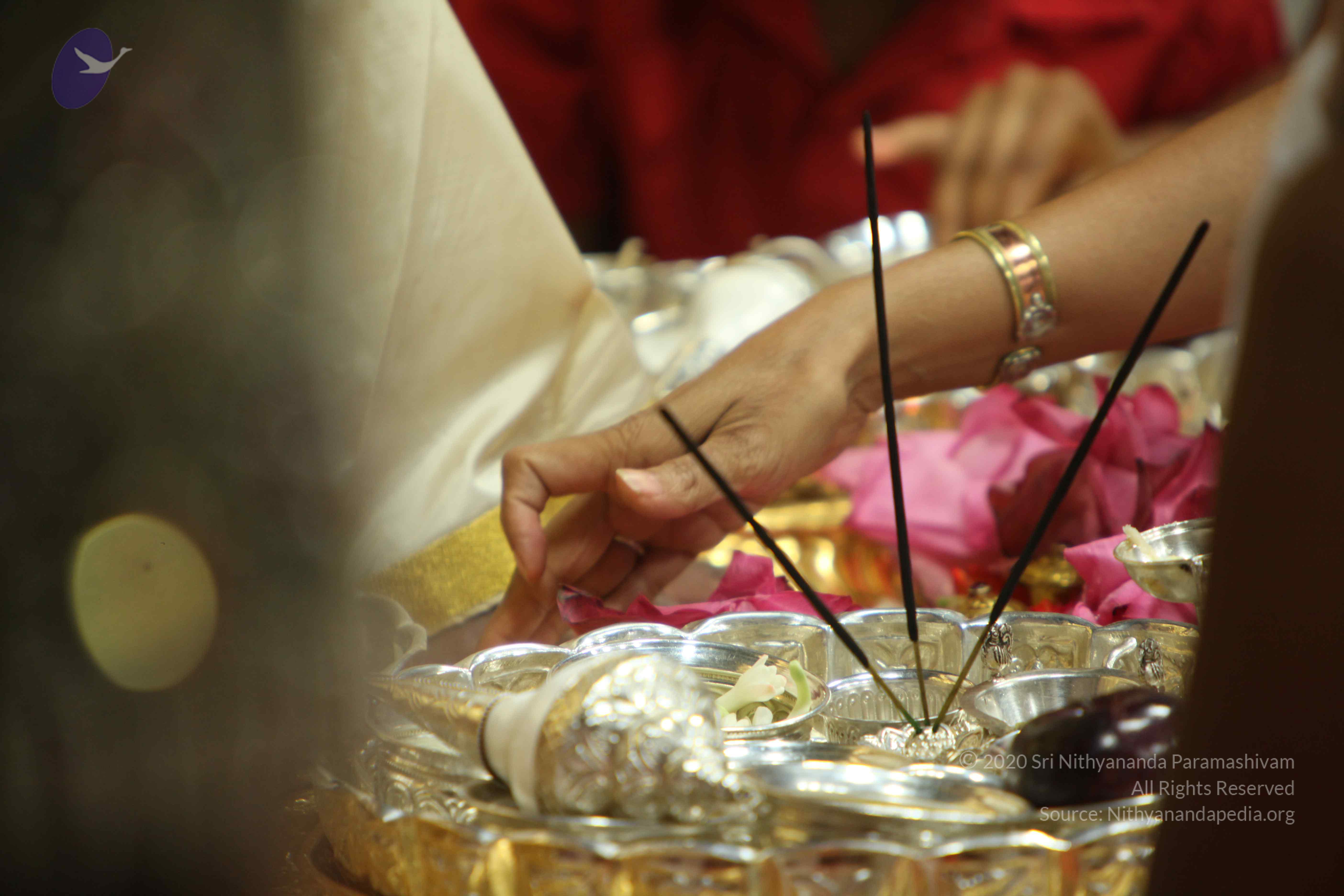 20110305_Photo_1060_IMG_7431_CMP_WM