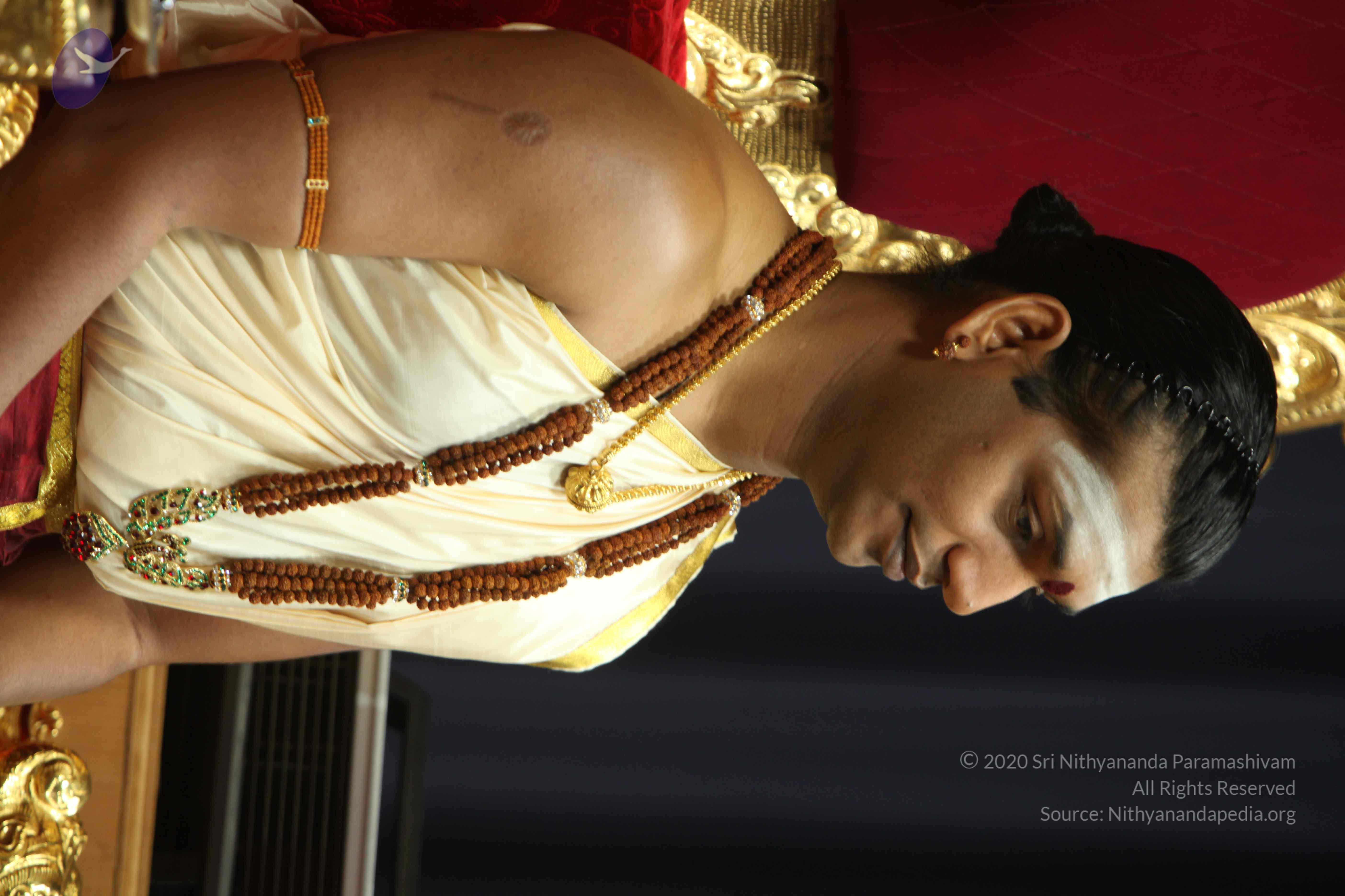 20110305_Photo_1068_IMG_7410_CMP_WM