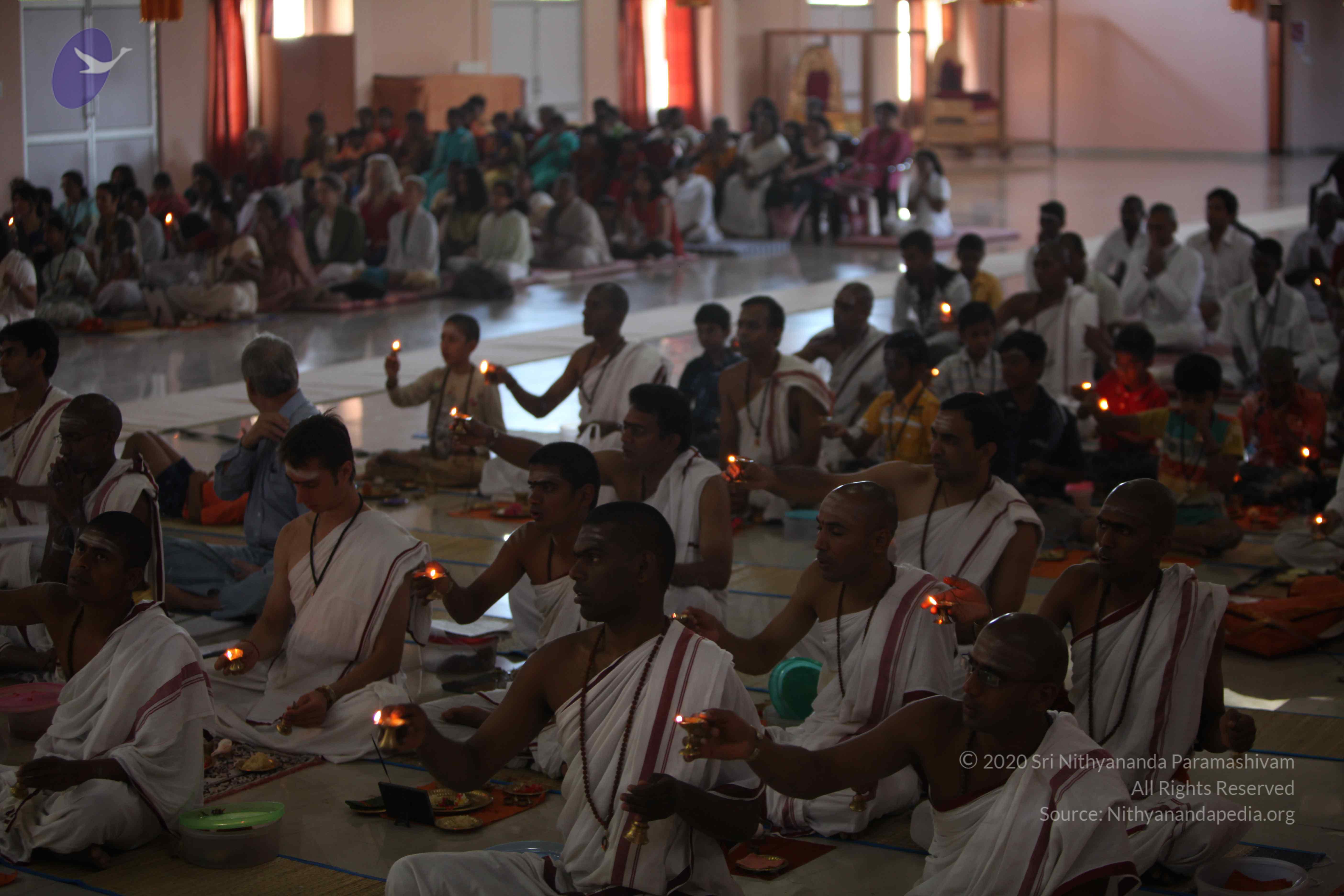 20110305_Photo_1071_IMG_7454_CMP_WM