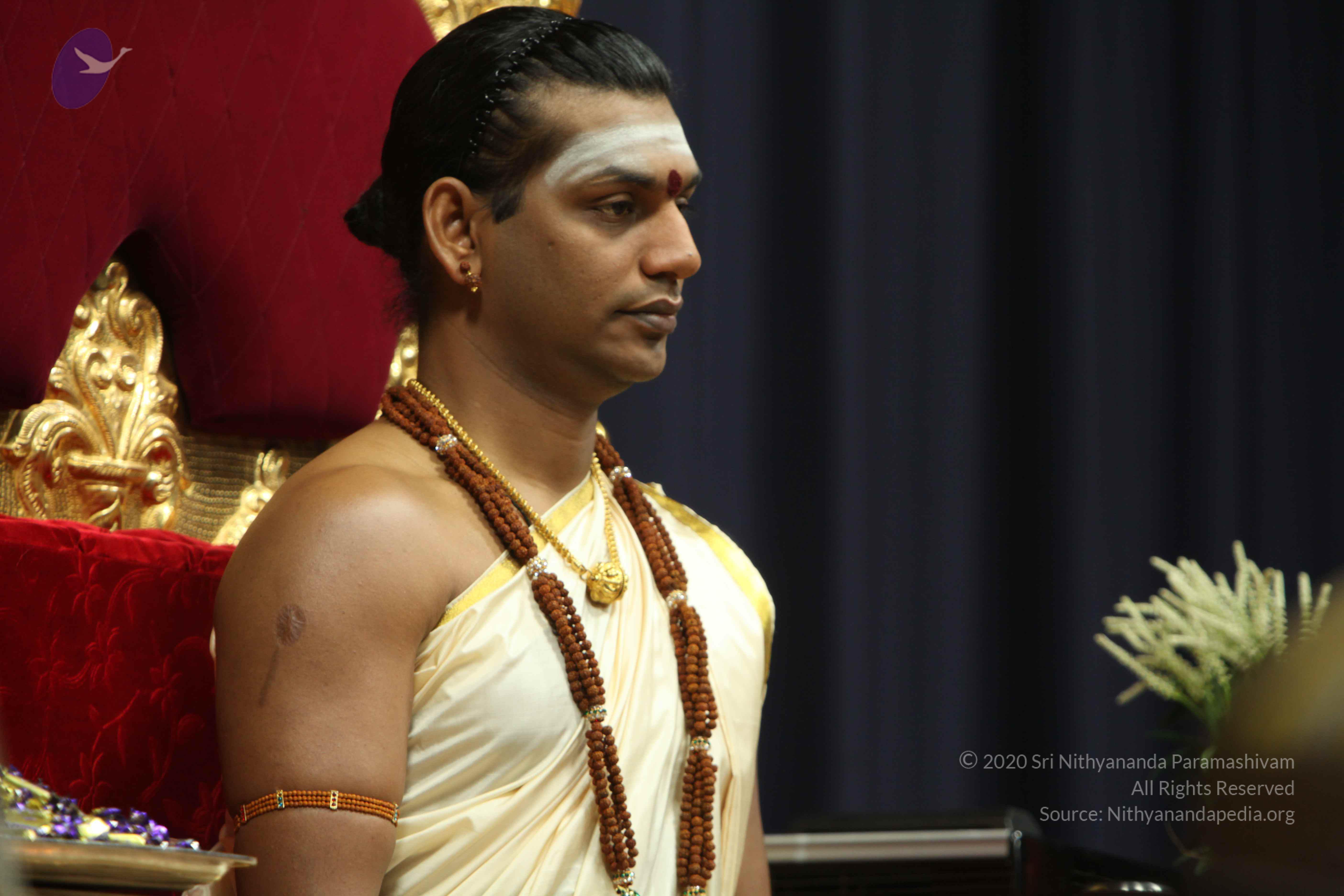 20110305_Photo_1073_IMG_7436_CMP_WM