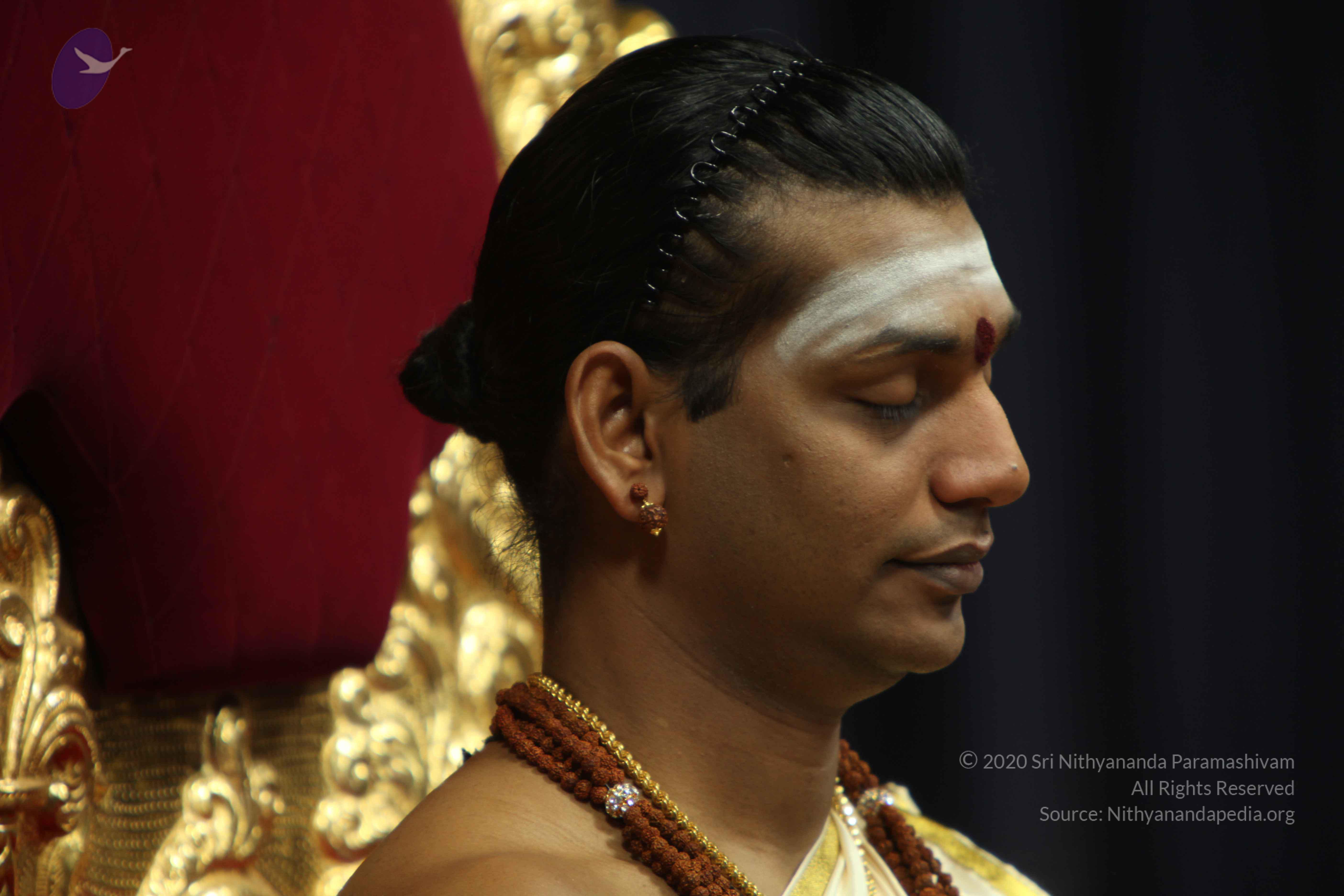 20110305_Photo_1084_IMG_7409_CMP_WM