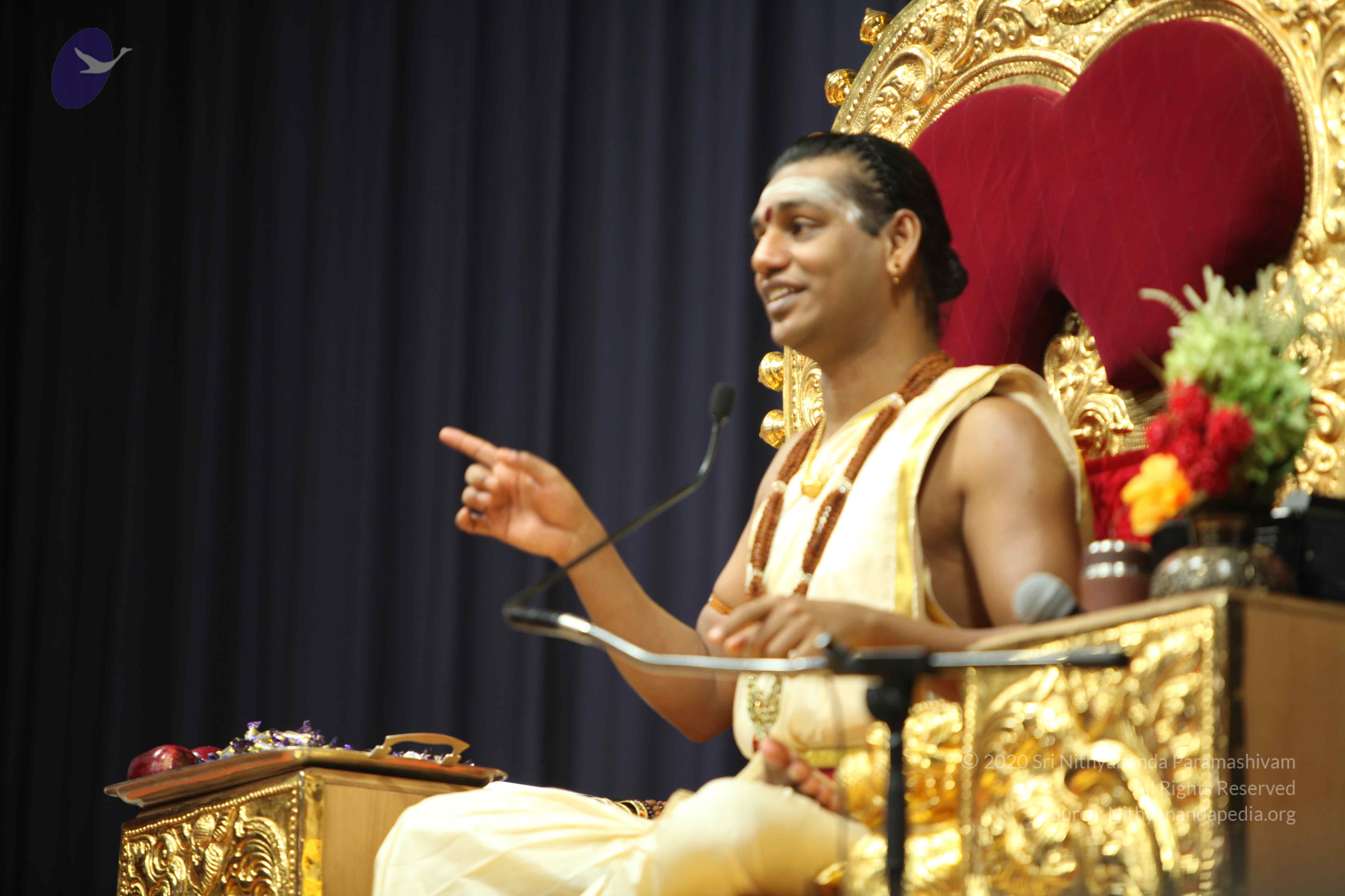 20110305_Photo_1010_IMG_7568_CMP_WM