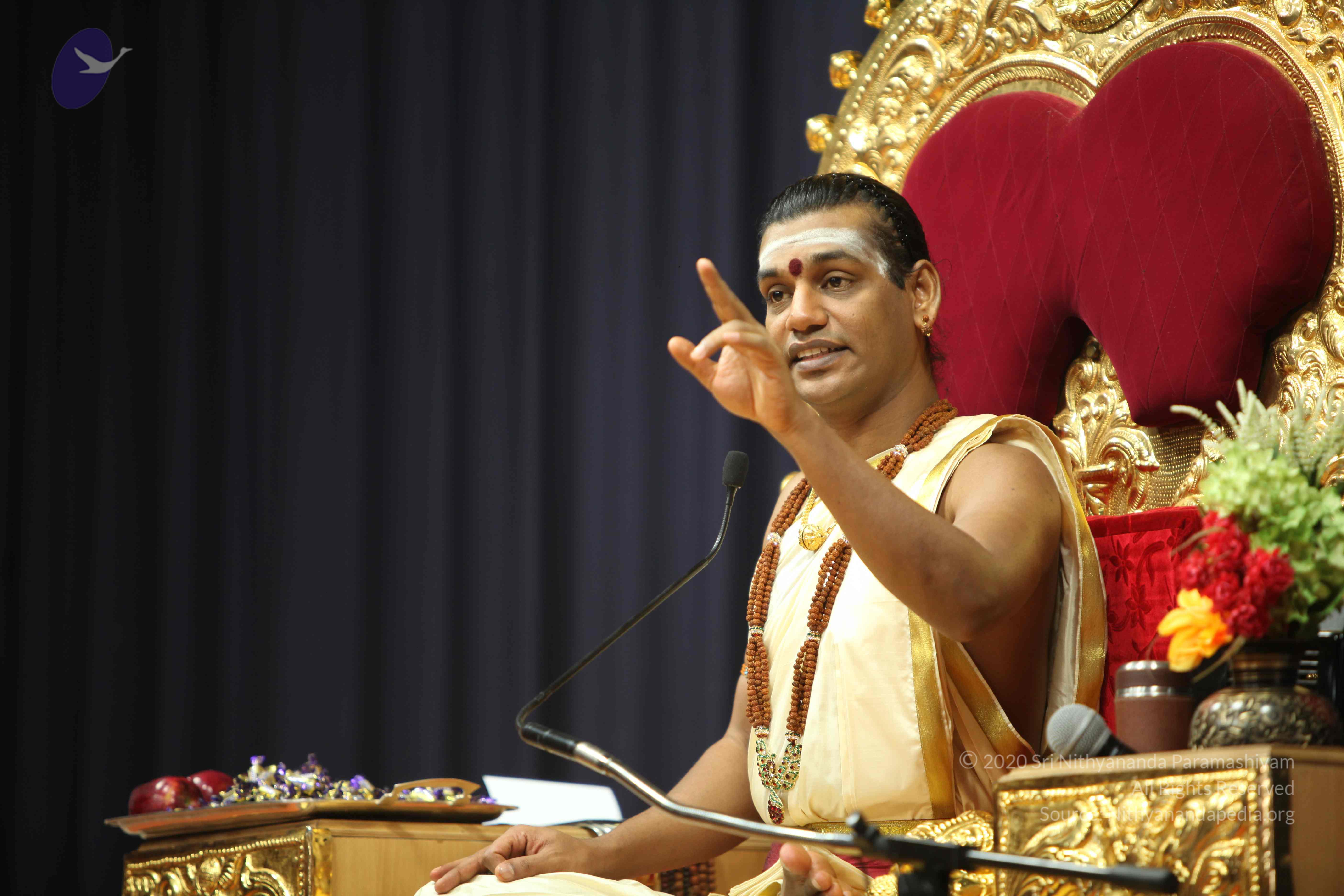 20110305_Photo_1023_IMG_7541_CMP_WM