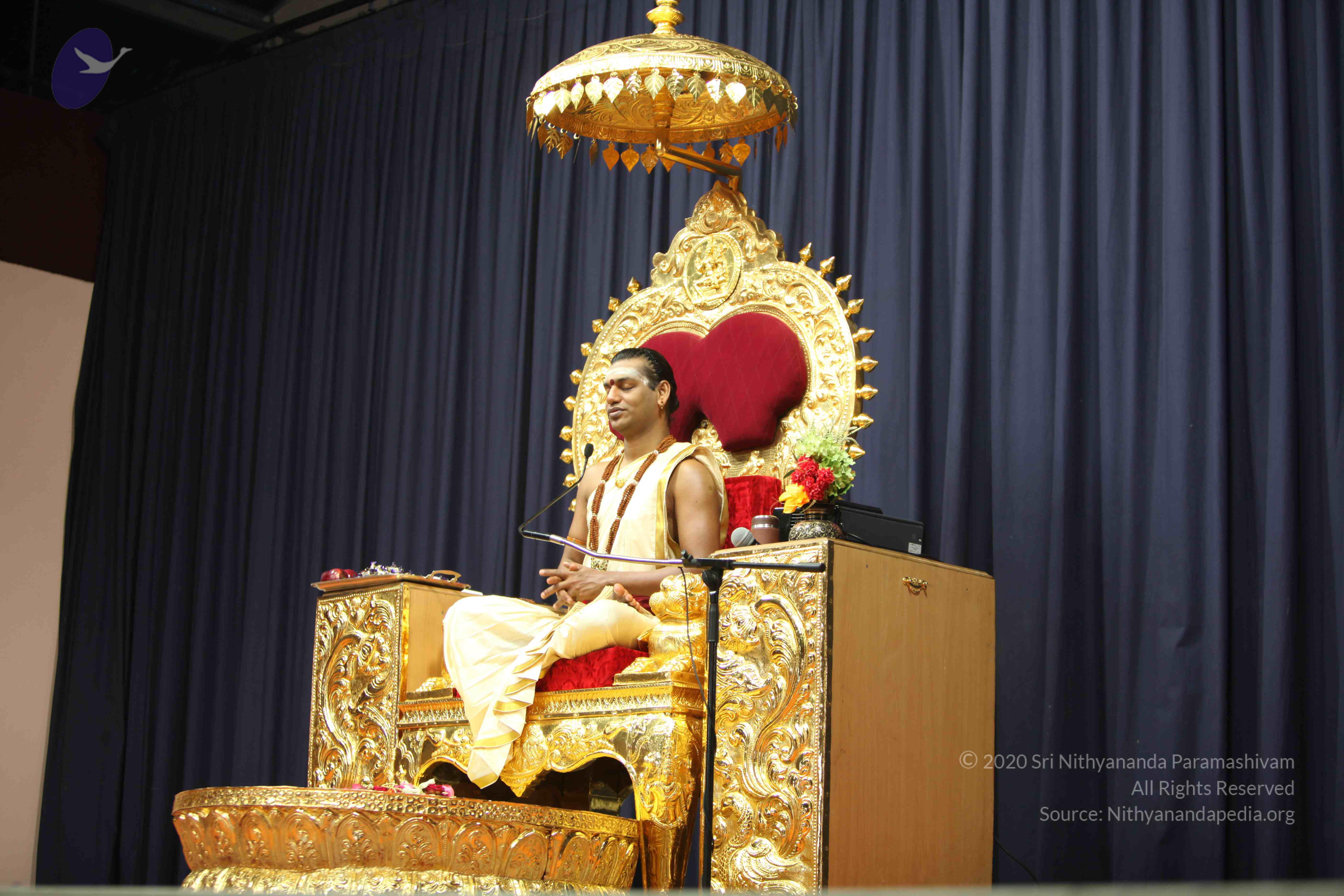 20110305_Photo_1032_IMG_7569_CMP_WM