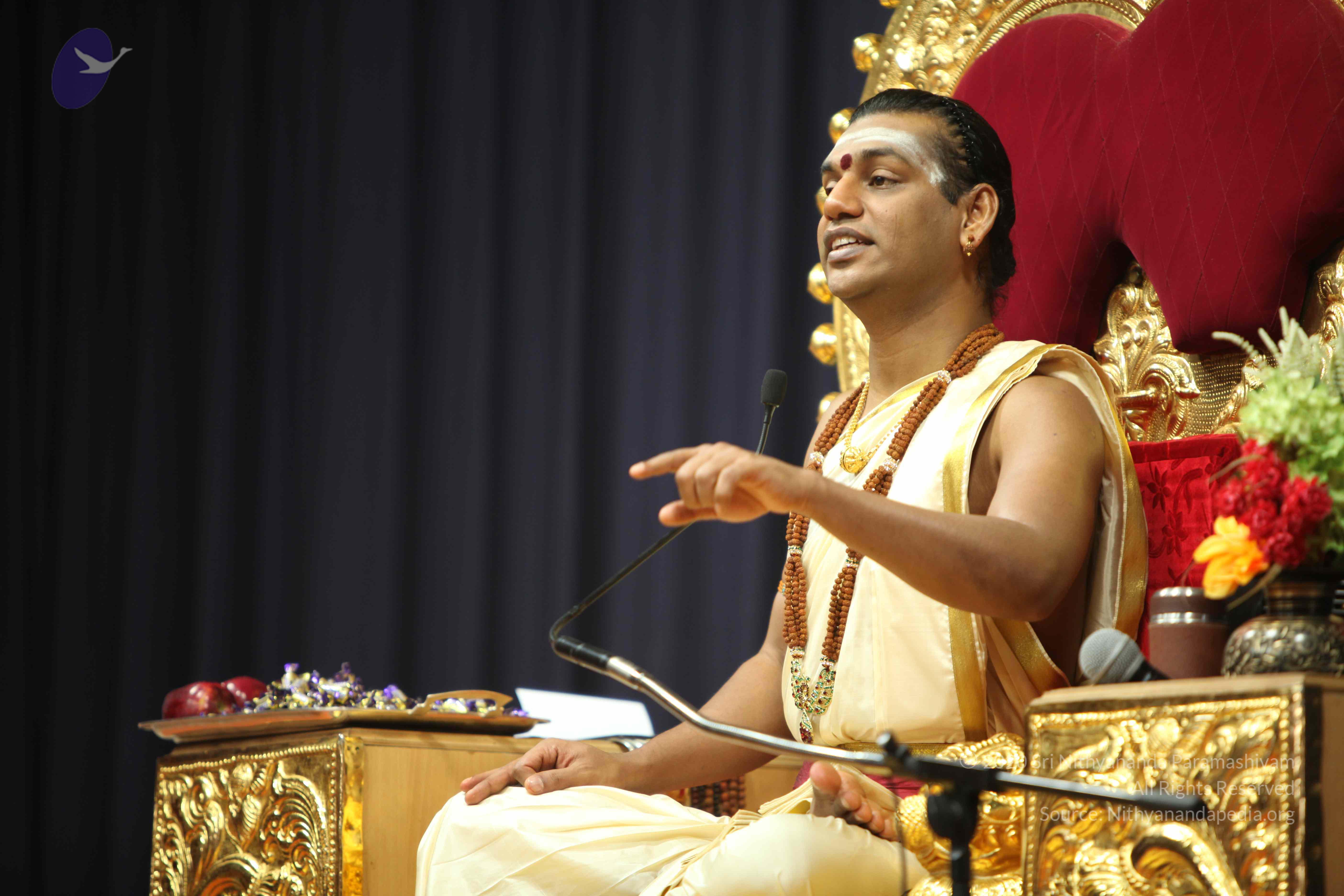 20110305_Photo_1034_IMG_7542_CMP_WM