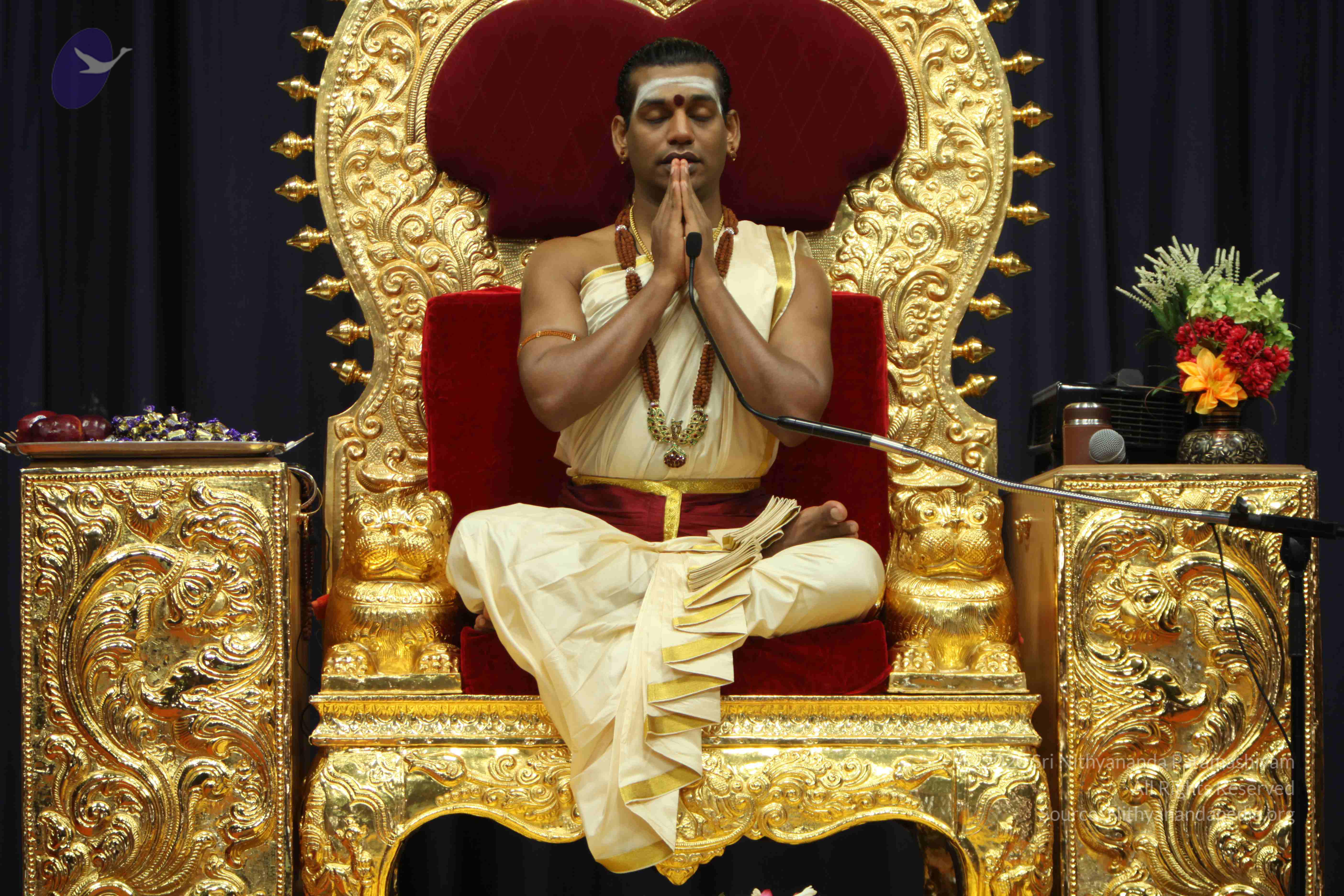 20110305_Photo_1035_IMG_7517_CMP_WM