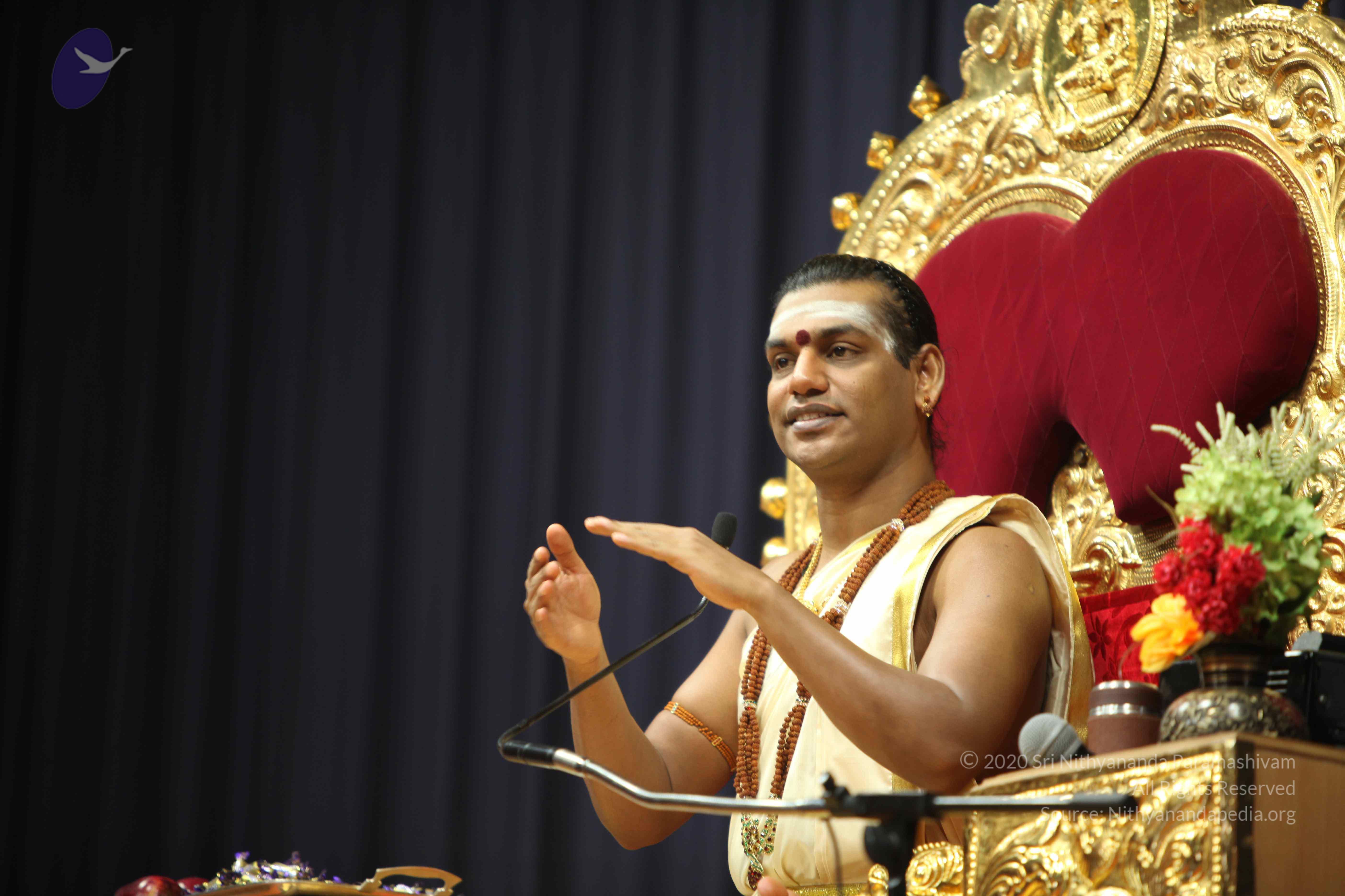 20110305_Photo_1041_IMG_7561_CMP_WM