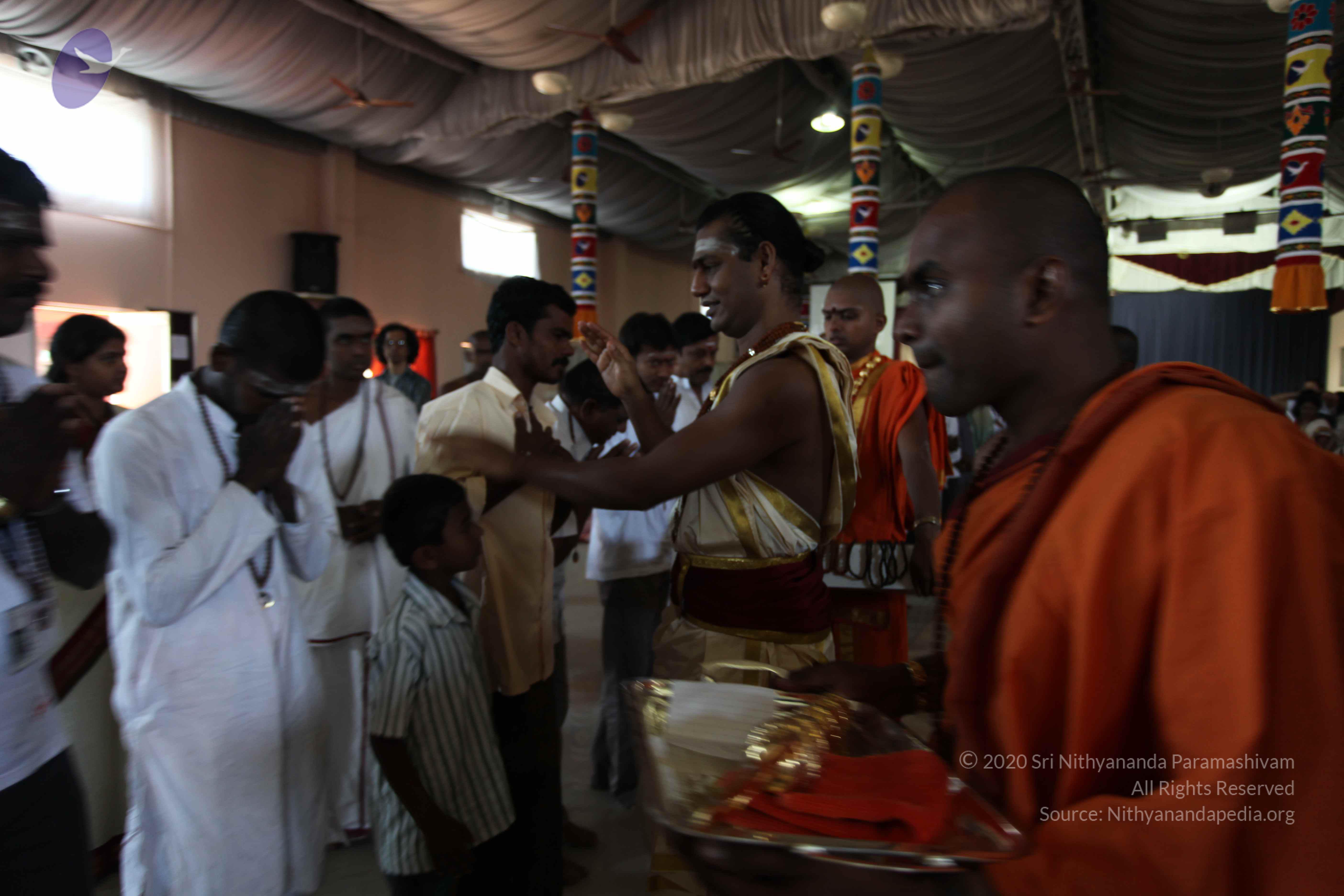 20110305_Photo_1000_IMG_7604_CMP_WM