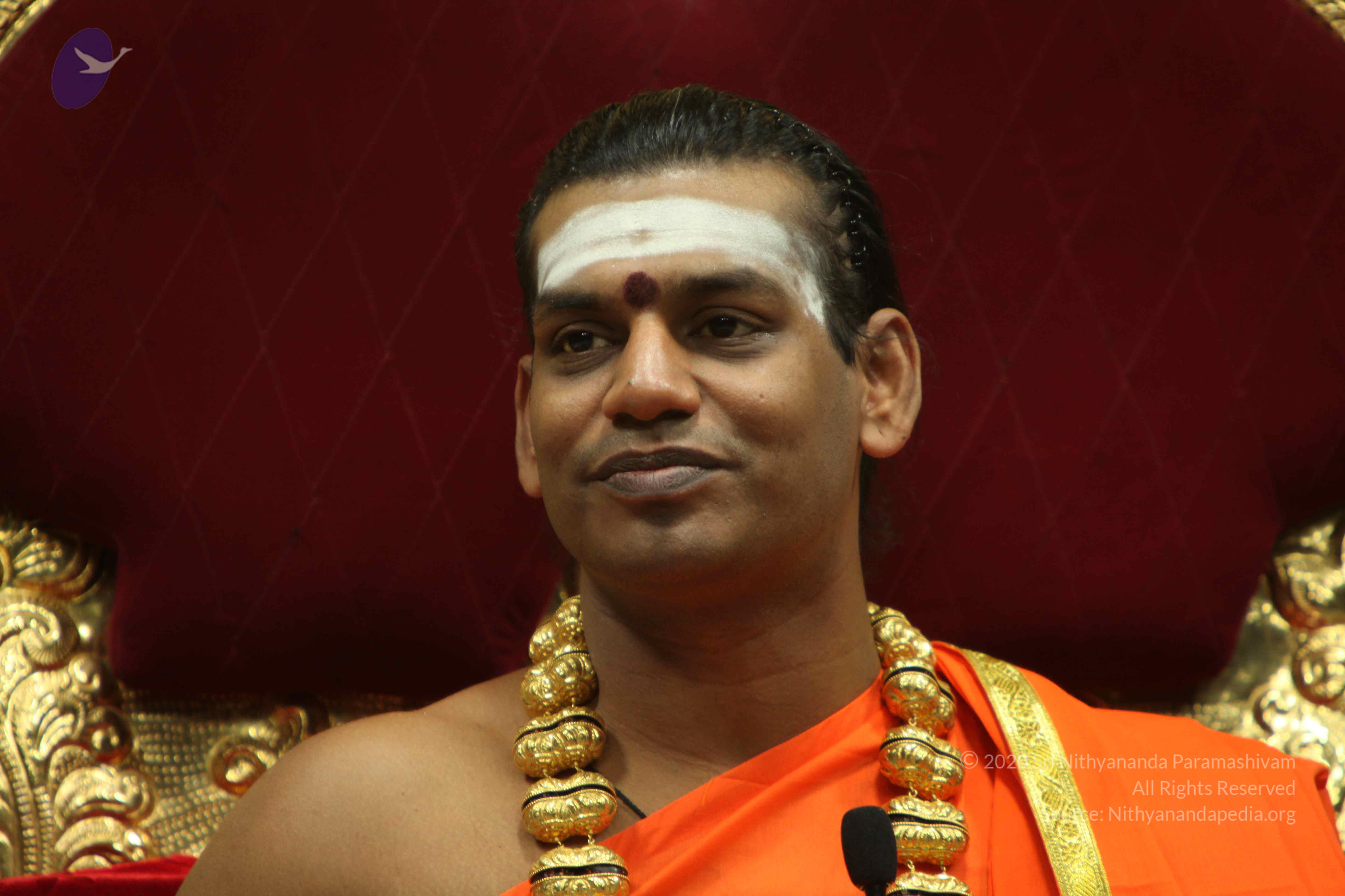 20110305_Photo_1000_IMG_7981_CMP_WM