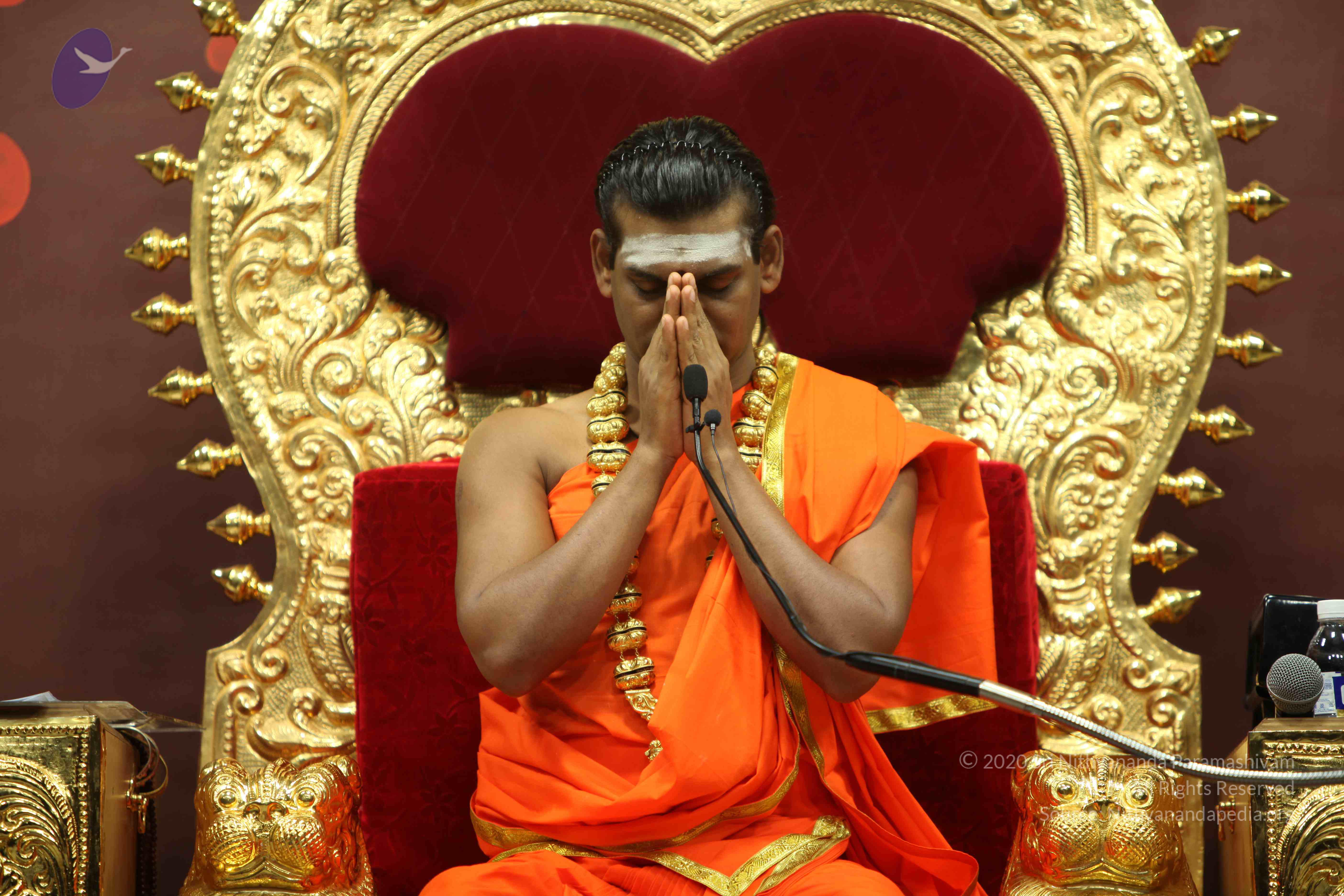 20110305_Photo_1013_IMG_8155_CMP_WM