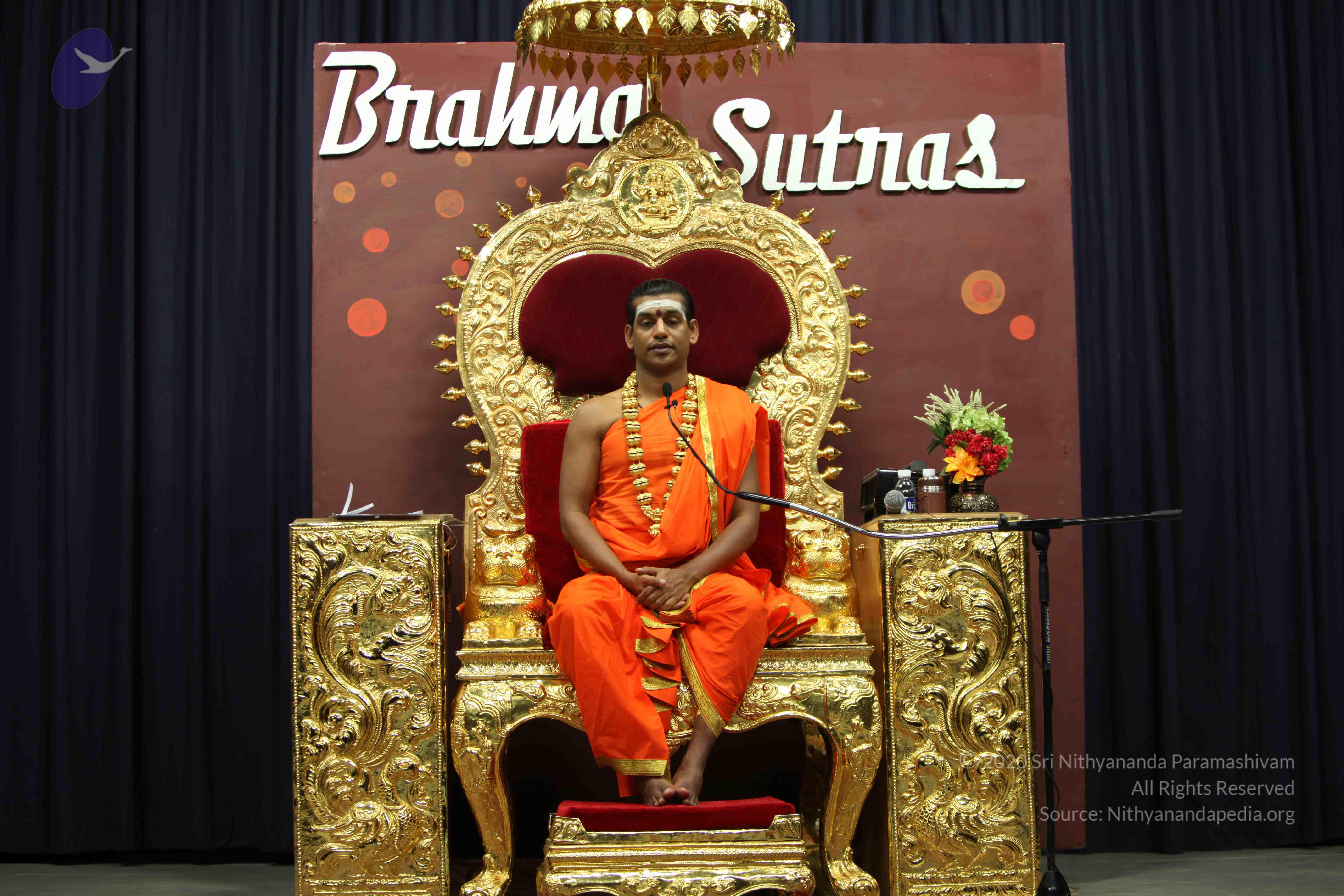 20110305_Photo_1020_IMG_8126_CMP_WM