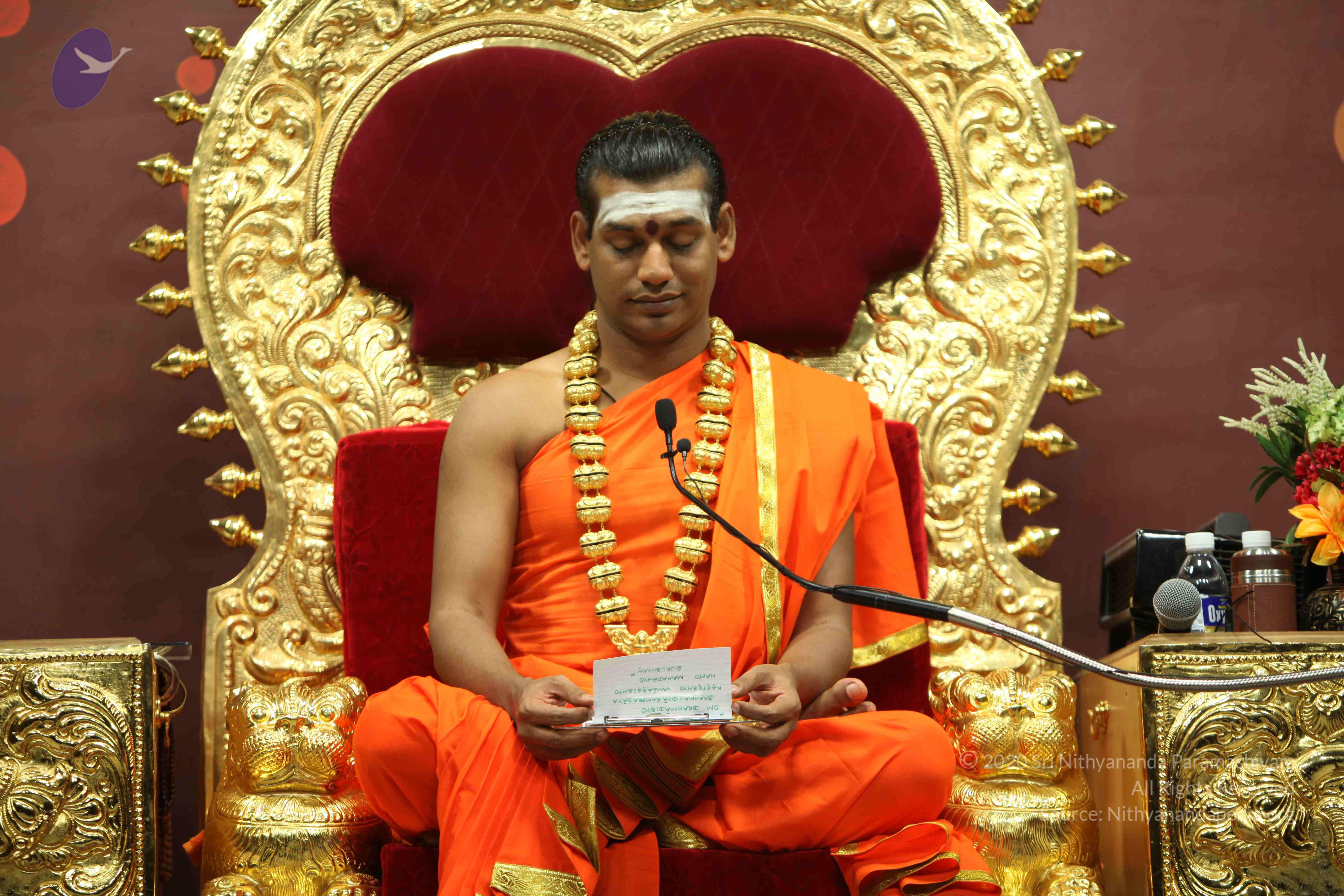 20110305_Photo_1032_IMG_7800_CMP_WM