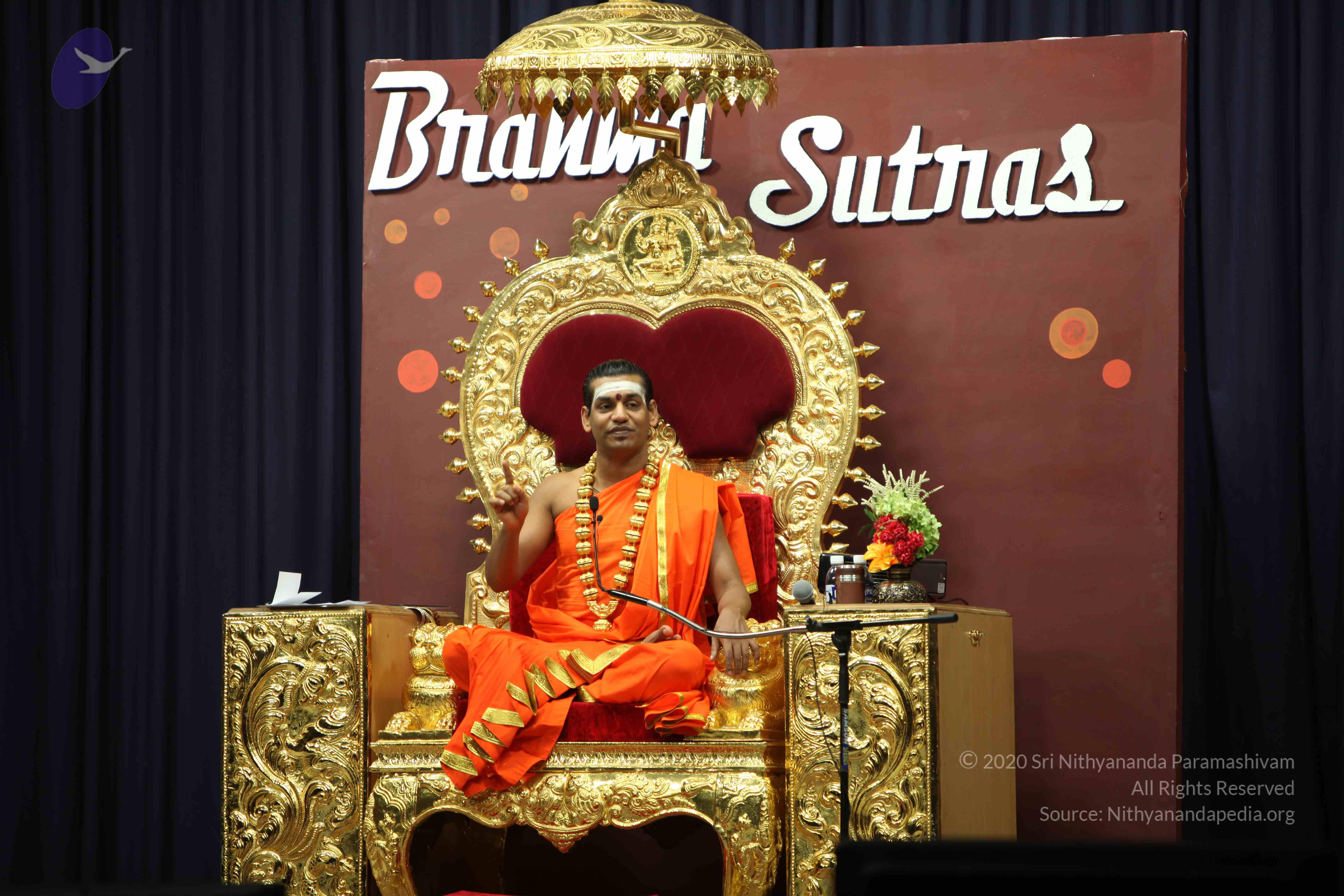 20110305_Photo_1034_IMG_7914_CMP_WM