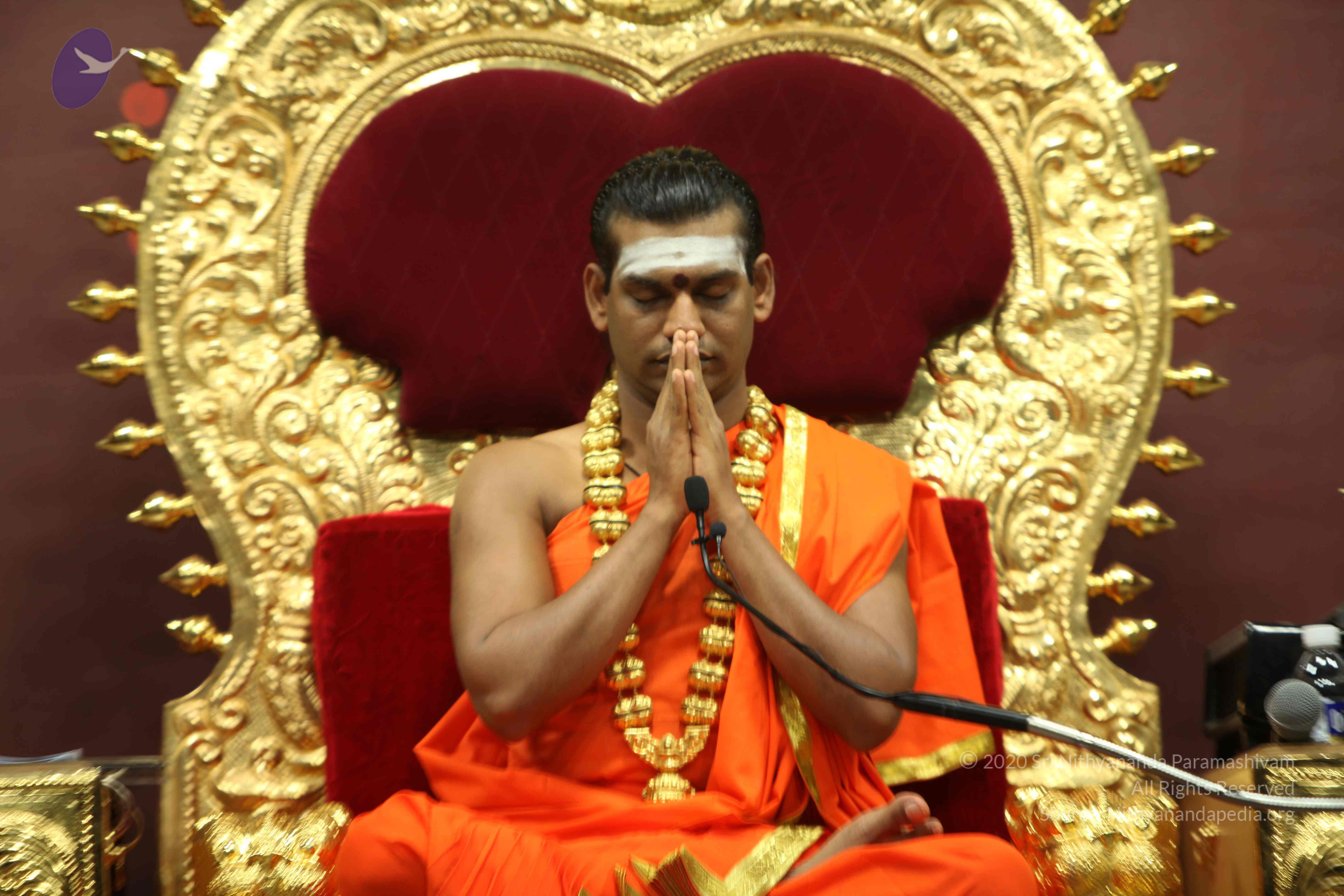 20110305_Photo_1039_IMG_7785_CMP_WM