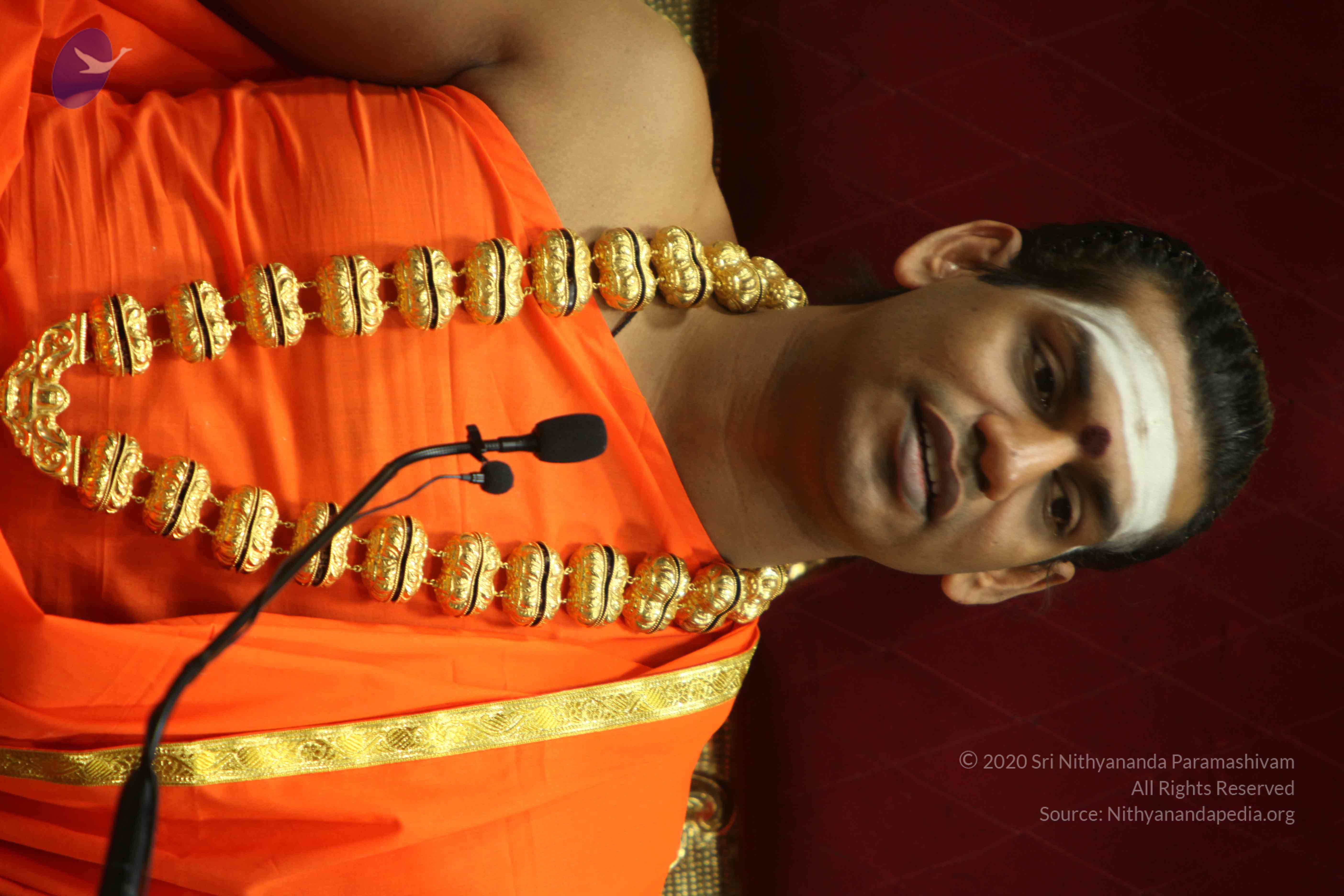 20110305_Photo_1053_IMG_7950_CMP_WM