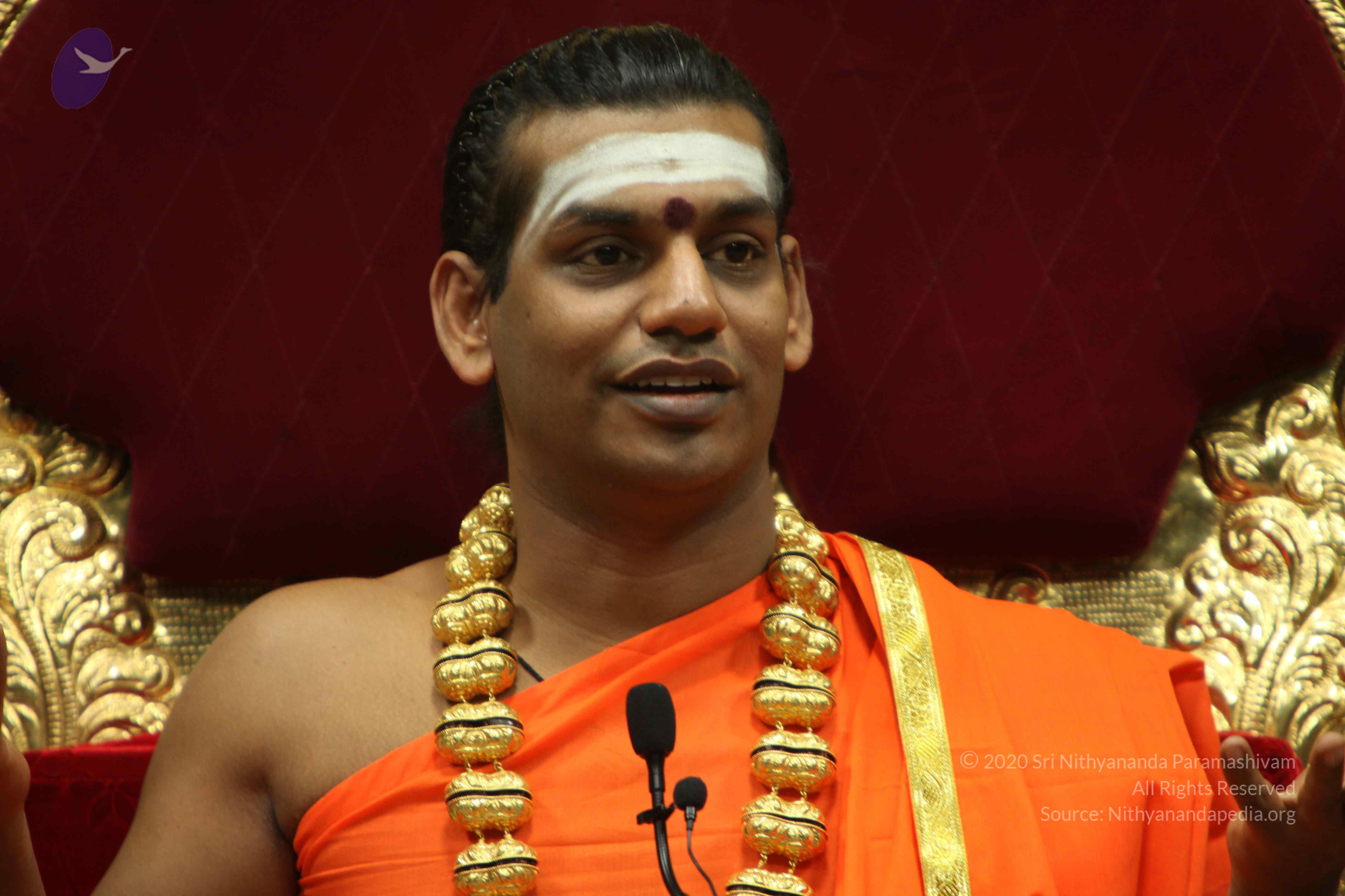 20110305_Photo_1054_IMG_7967_CMP_WM